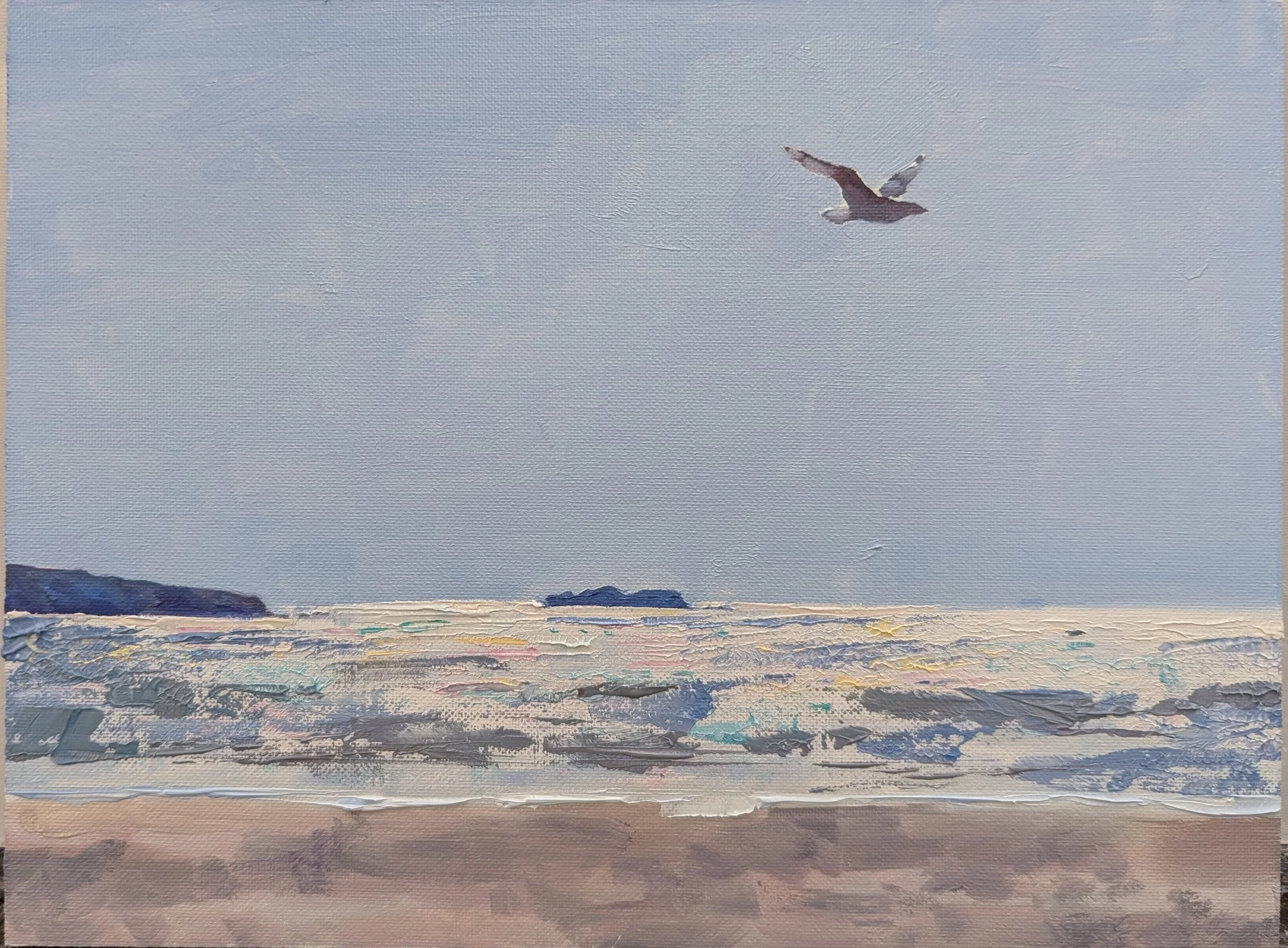 Pembrokeshire Gull (2026)