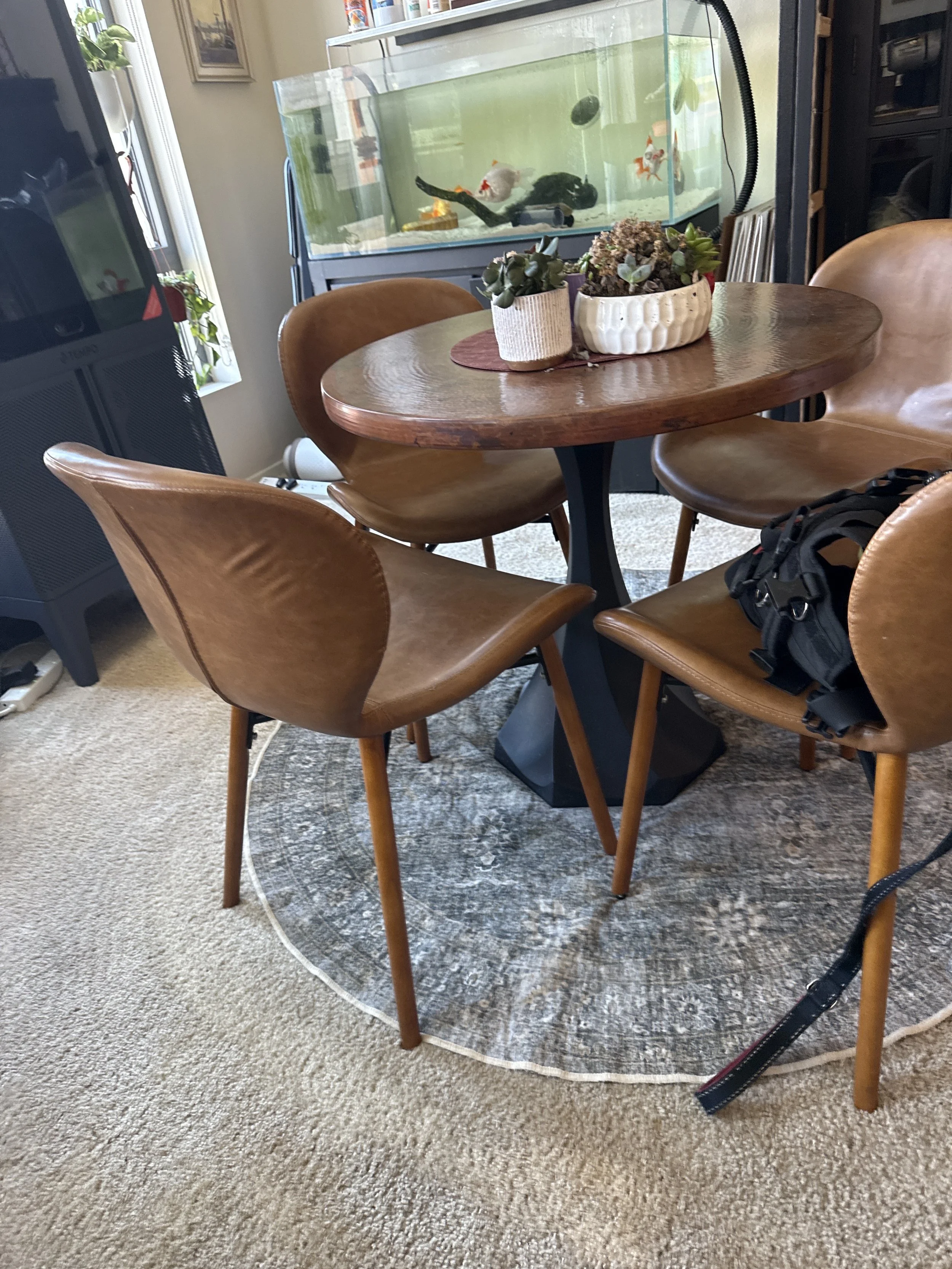 A round wooden dining table with four matching wooden chairs, a potted succulent arrangement in white pots on a round placemat, a grey and beige circular rug underneath, a large fish tank in the background with fish swimming inside, and a black backpack hanging on one of the chairs.