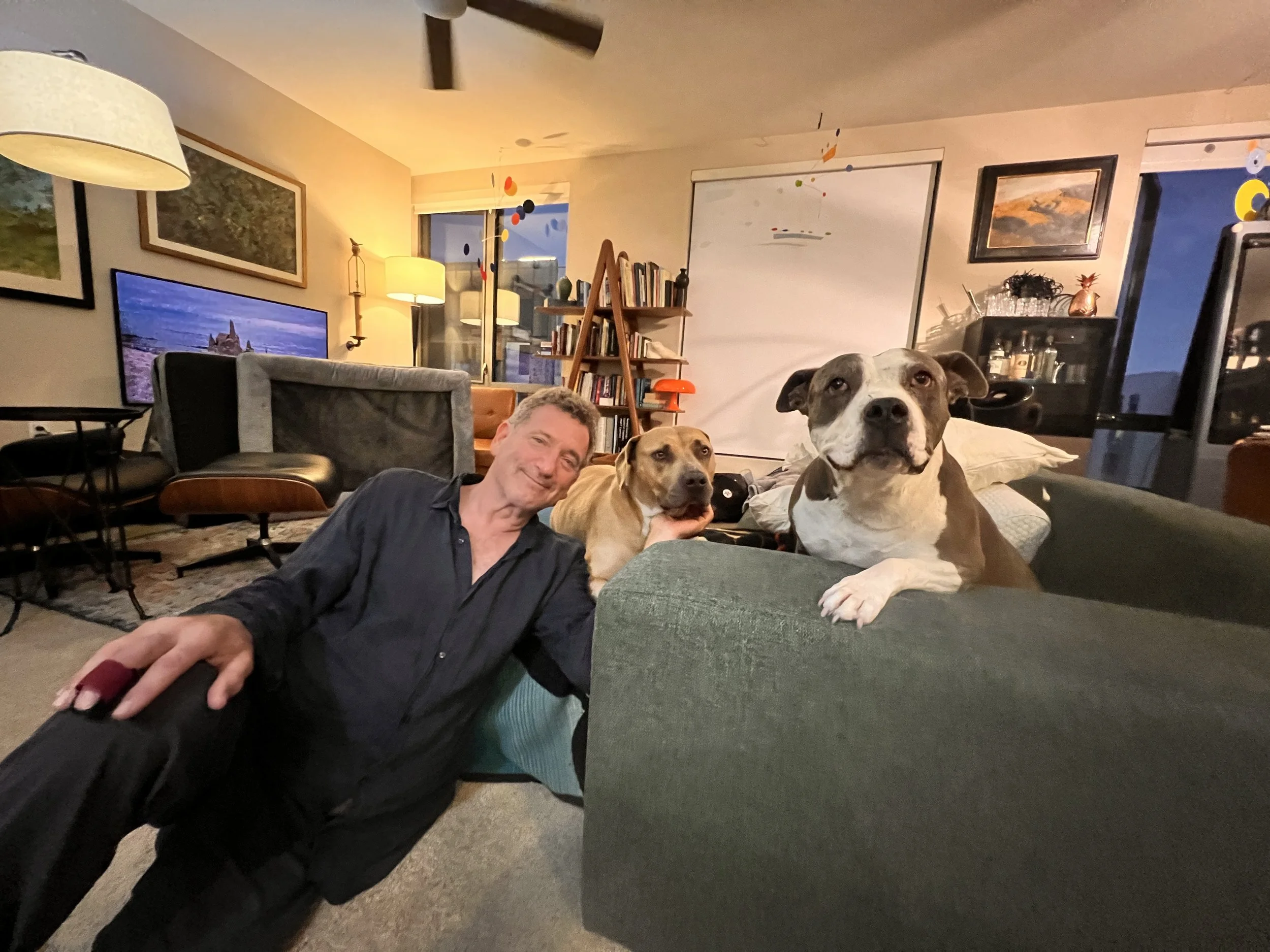 A man lying on a couch in a living room with two dogs, one of which has a white face with brown patches and is sitting on the coffee table, and the other is lying beside the man. The room has a bookshelf, paintings, a television, and various lamps, with a window showing an evening sky.