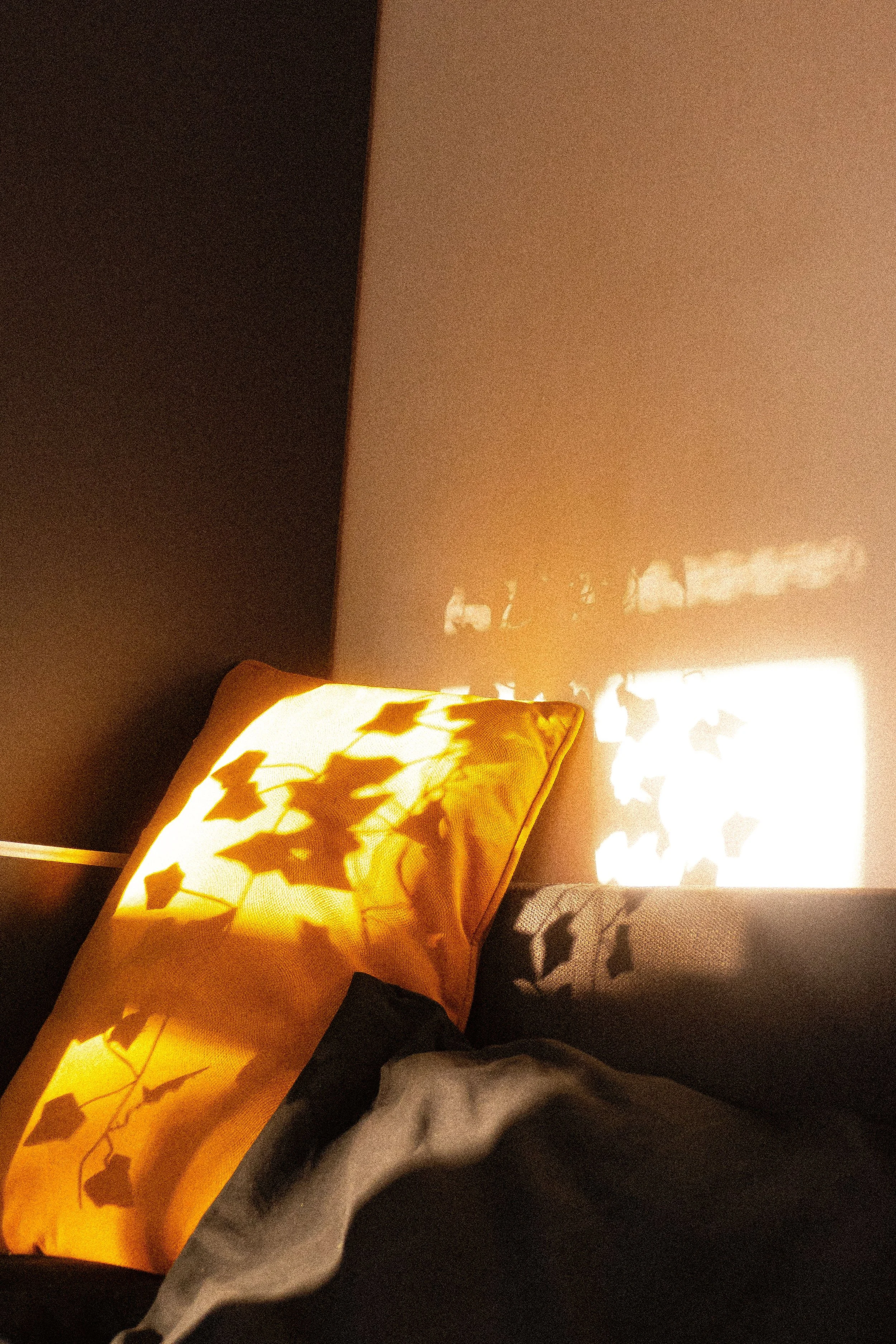 A yellow pillow with a shadow of leaves on it, placed on a dark-colored bed near a wall that has a shadow cast by a window or light source.