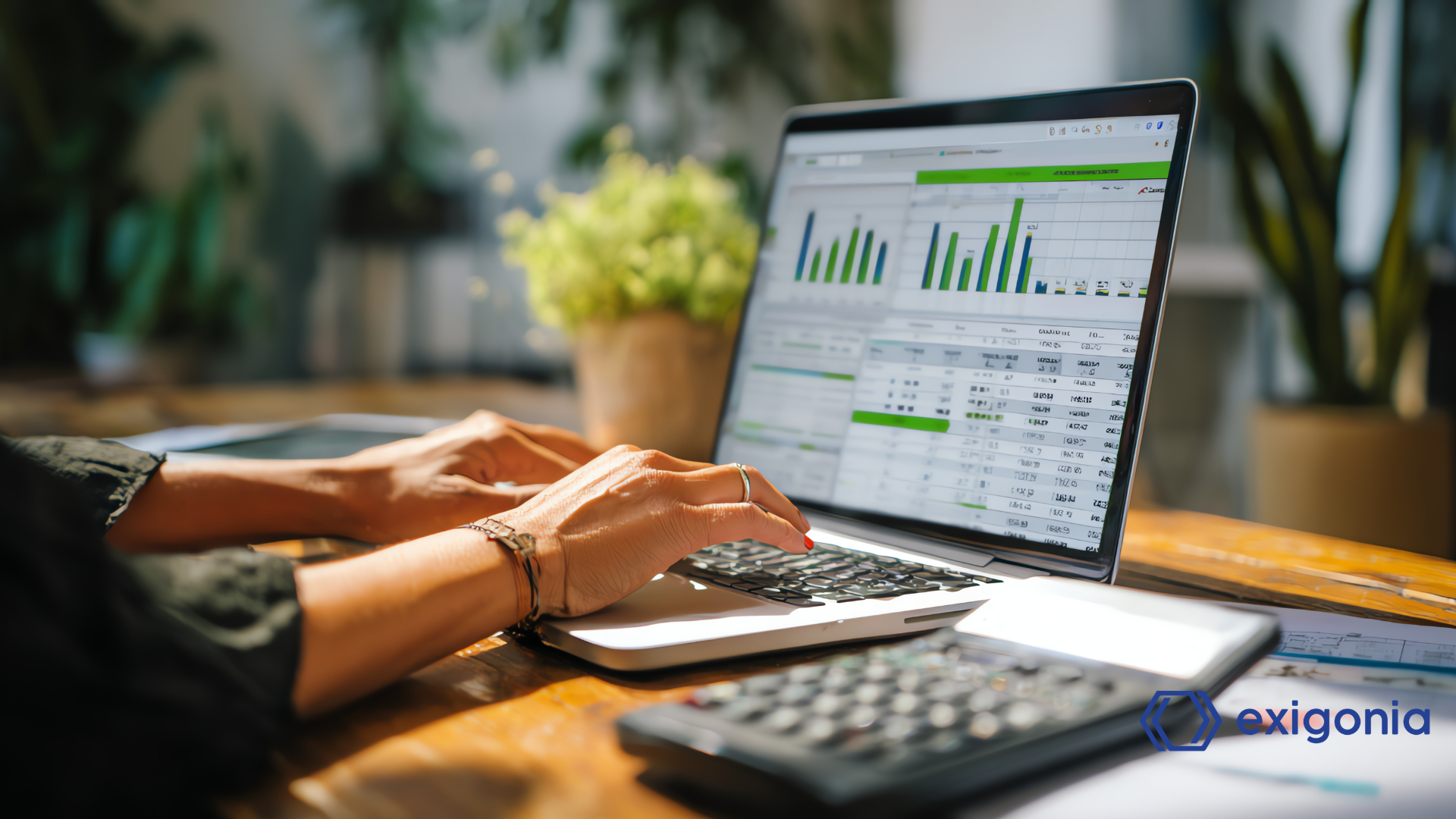 Software di controllo di gestione o consulente: cosa serve davvero