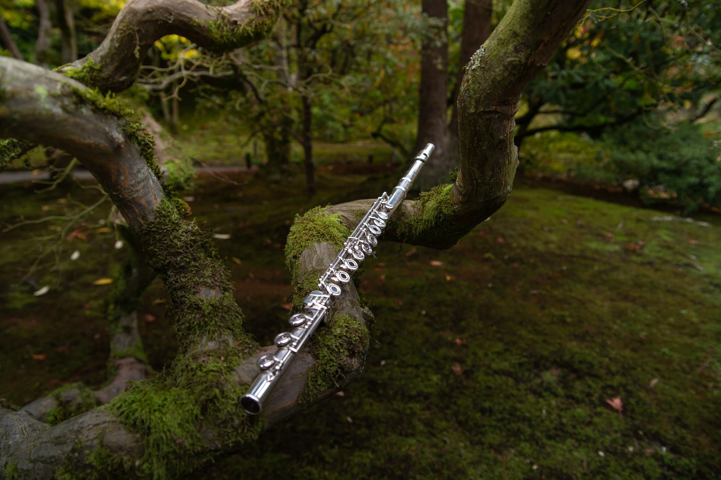 A silver flute resting on a moss-covered tree branch in a forest with blurred trees and foliage in the background.