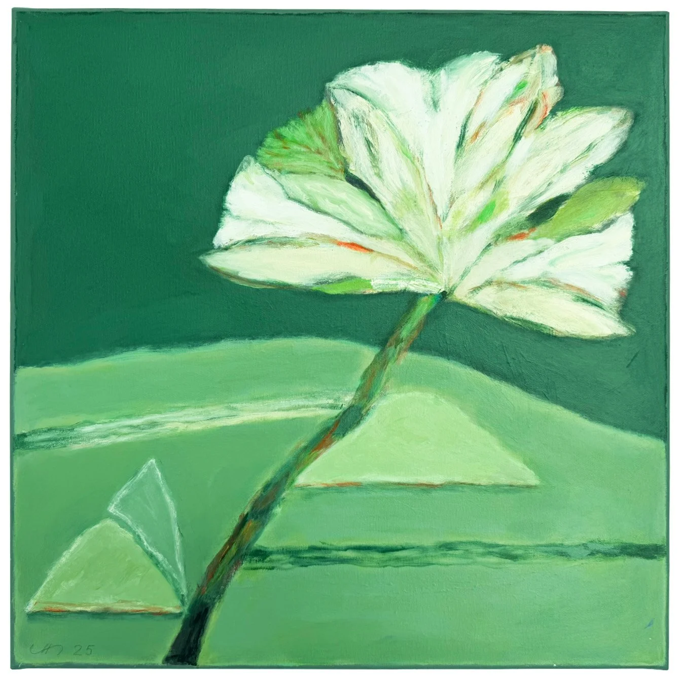 UN25.06, 2025, 50 X 50 cm