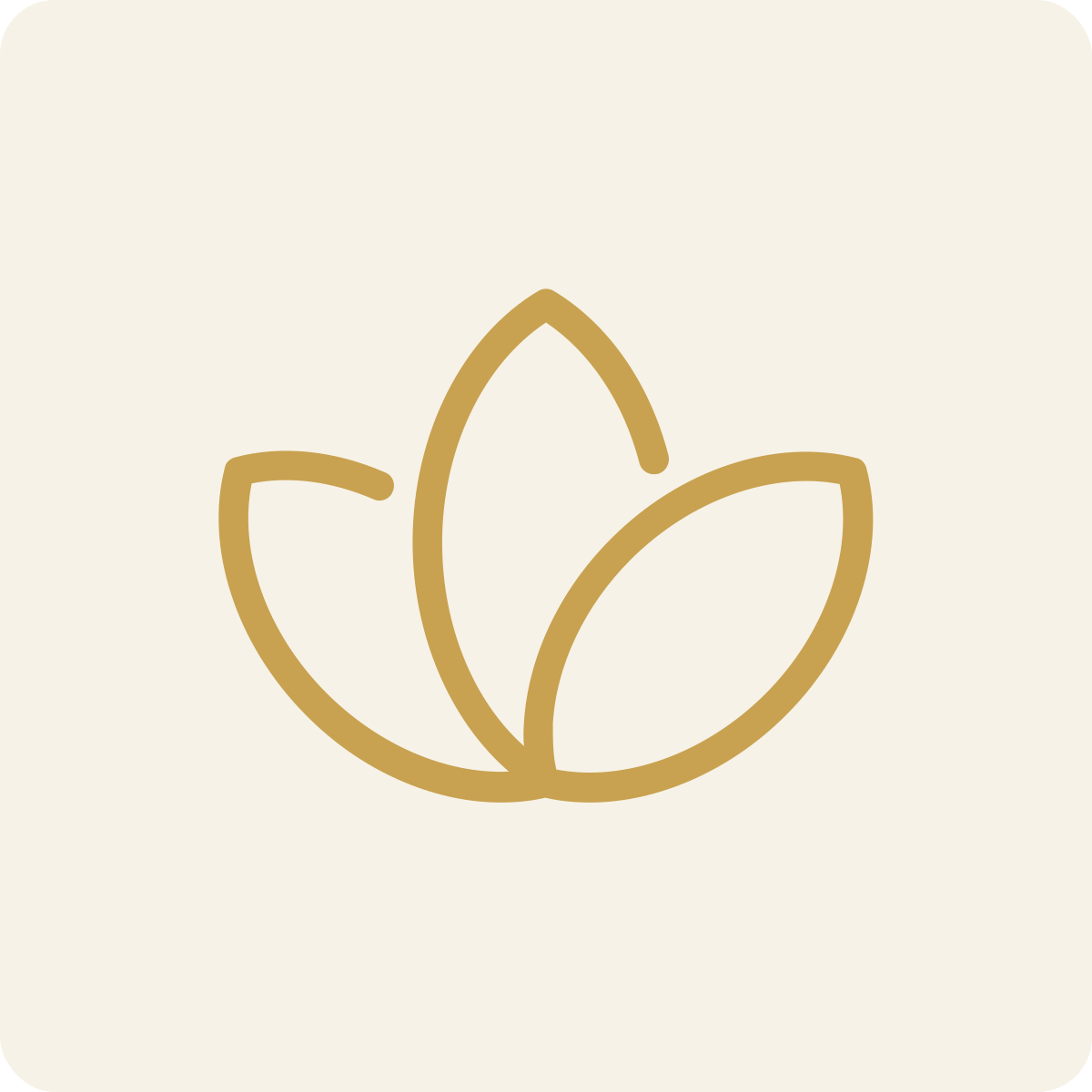 Minimalist icon of three overlapping leaves outlined in gold on a light beige background.