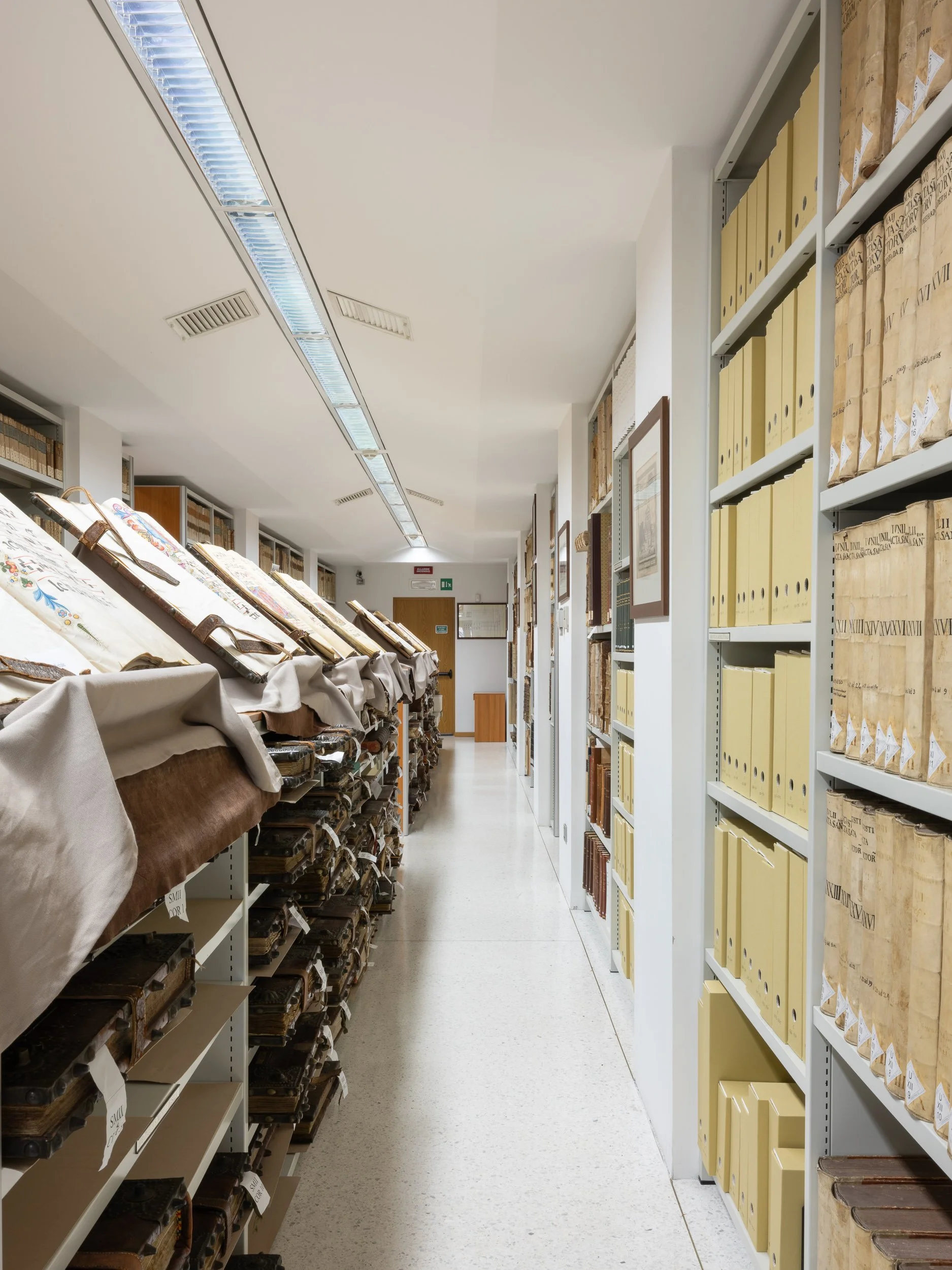 _DSF4805_Venezia-biblioteca-di-tutte-le-biblioteche-Gabriele-Bortoluzzi.jpg