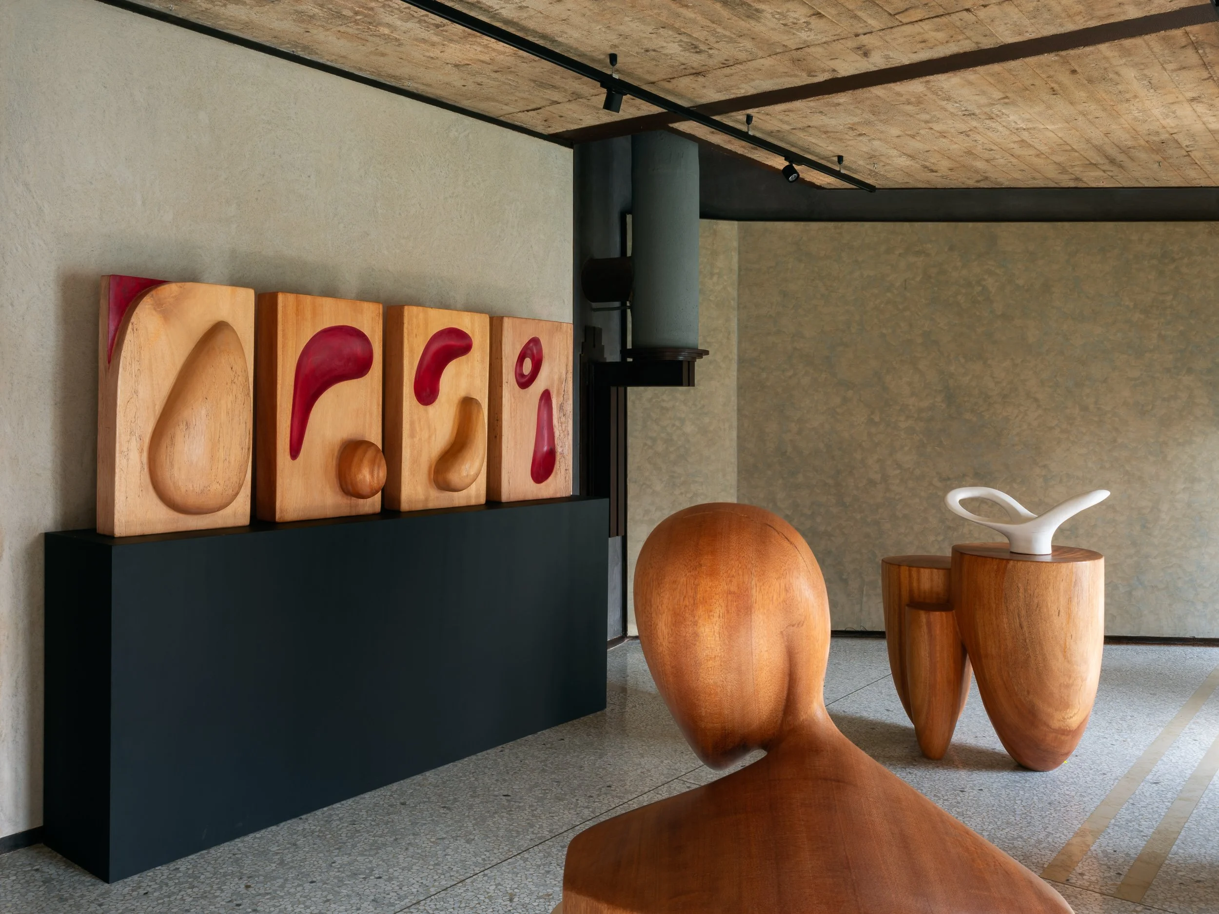 Reflections on Brancusi
