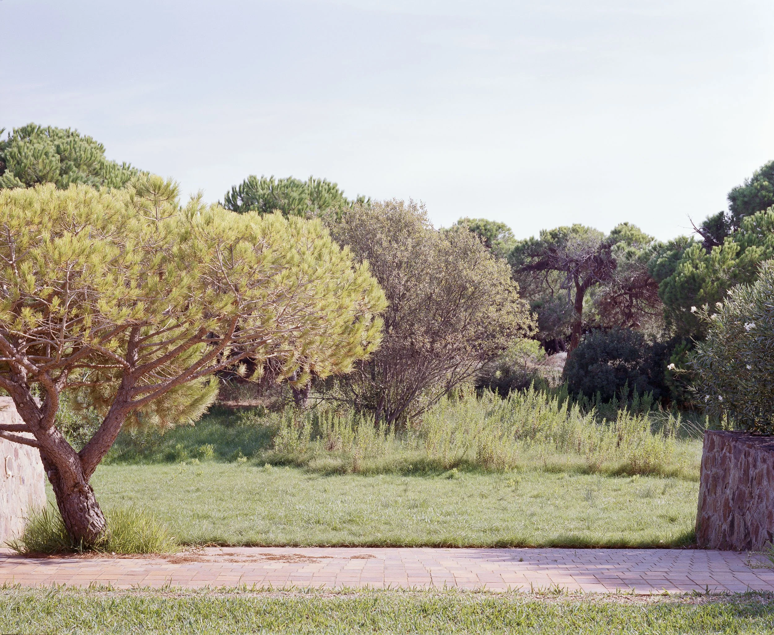 image-38-Edit_la-ricarda-el-prat.jpg