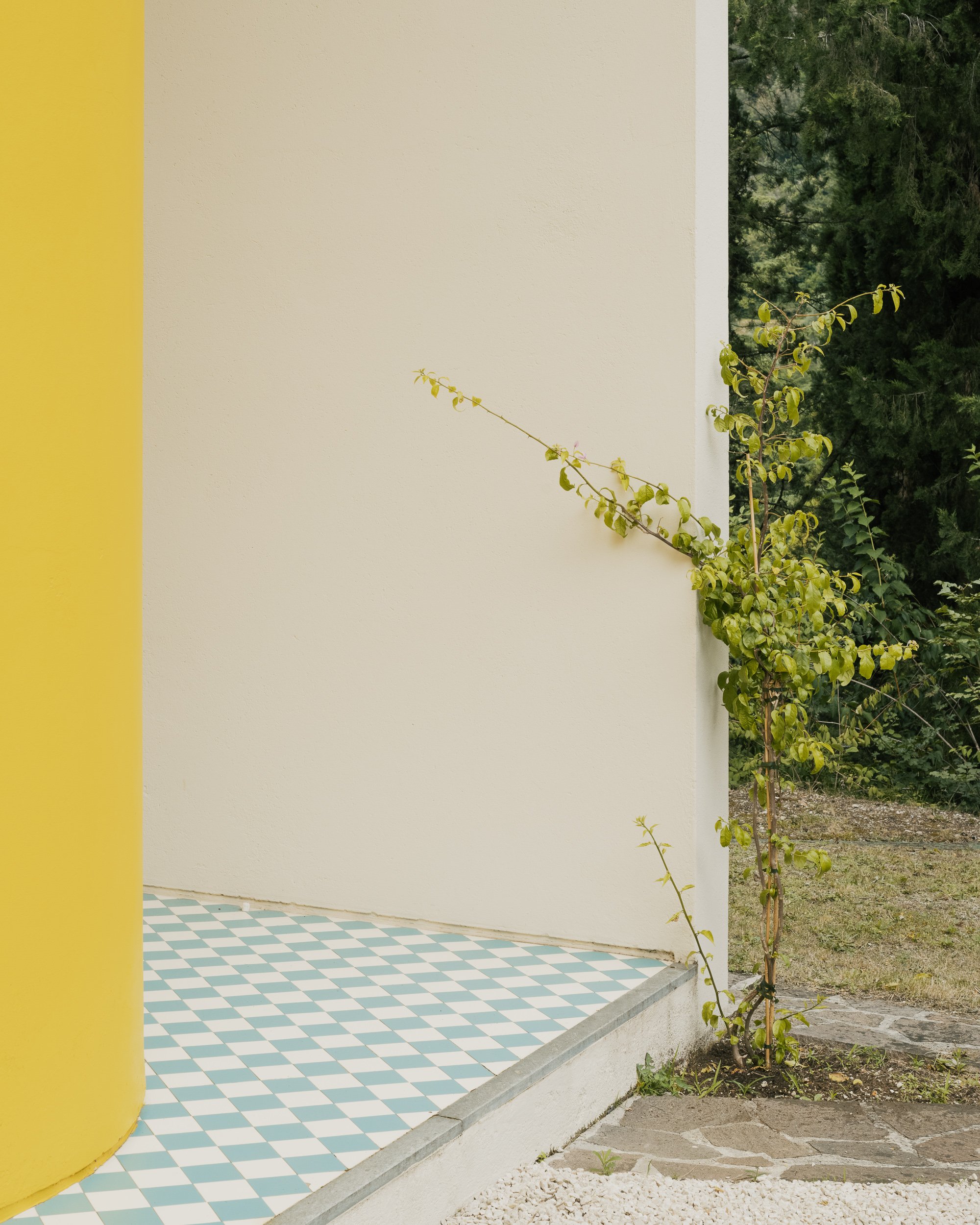 _DSC5734-Edit_biennale-architettura.jpg