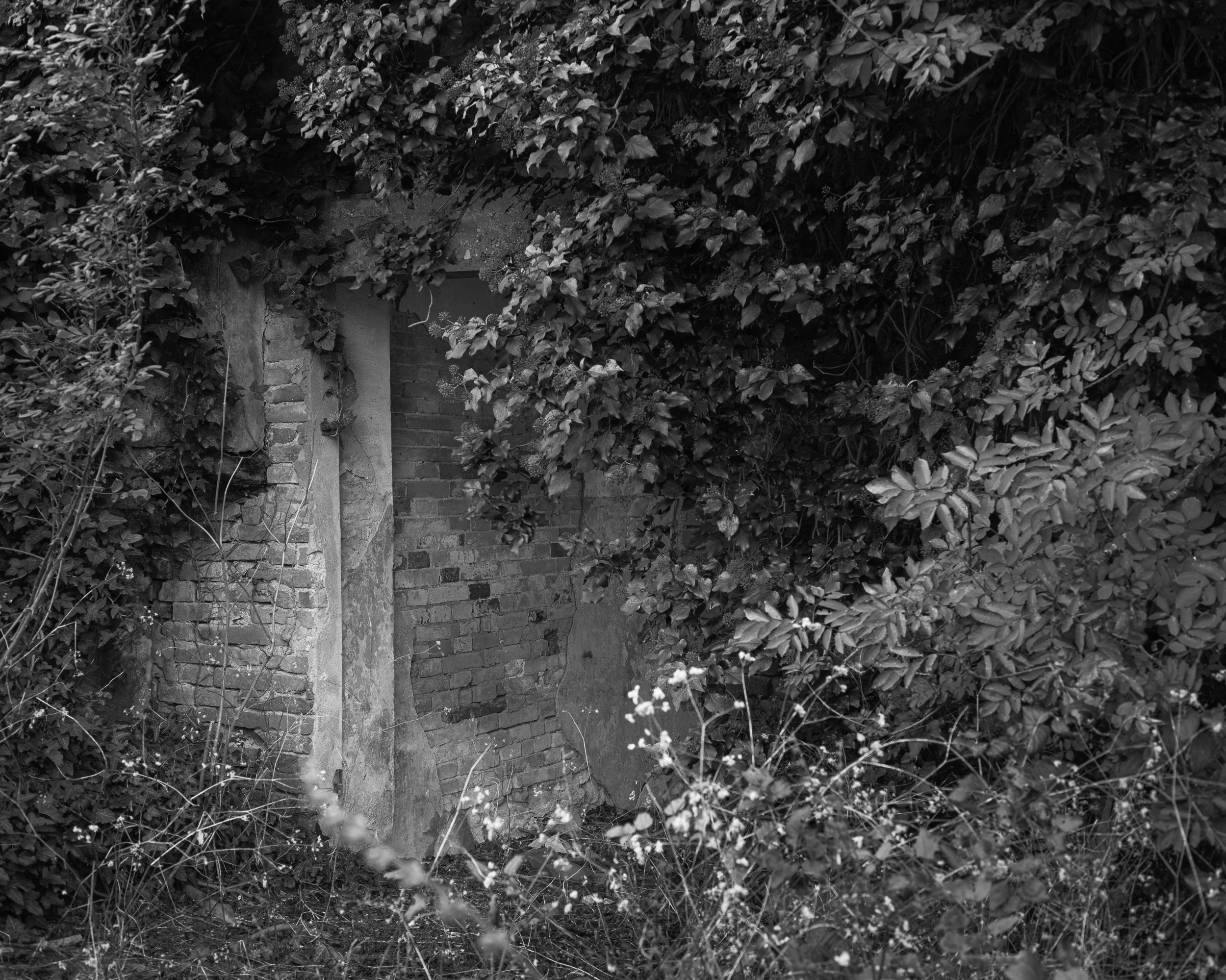 _DSF2552_l-unica-casa-possibile-gabriele-bortoluzzi.jpg