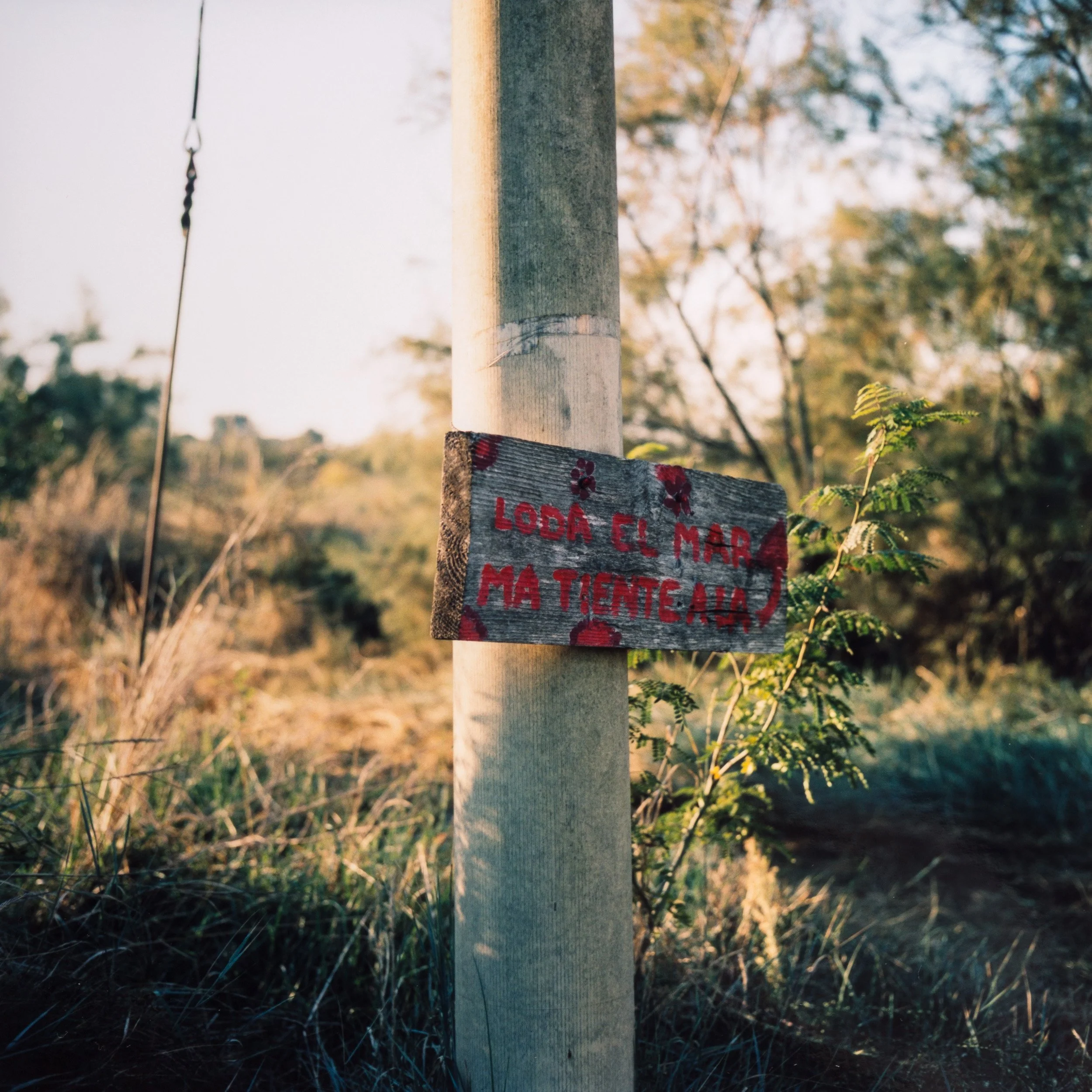 356A9810_untitled.jpg