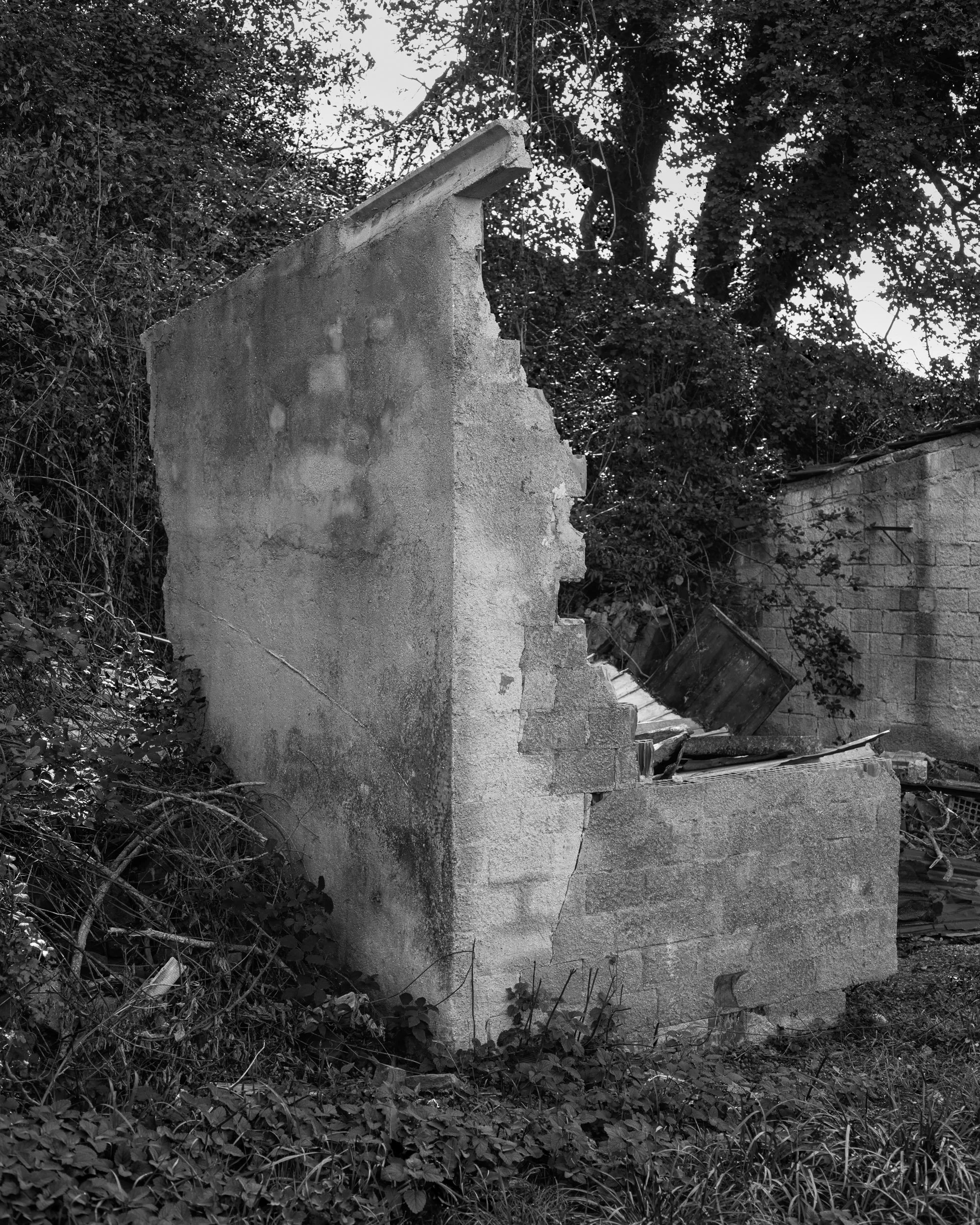 _DSF2517_l-unica-casa-possibile-gabriele-bortoluzzi.jpg
