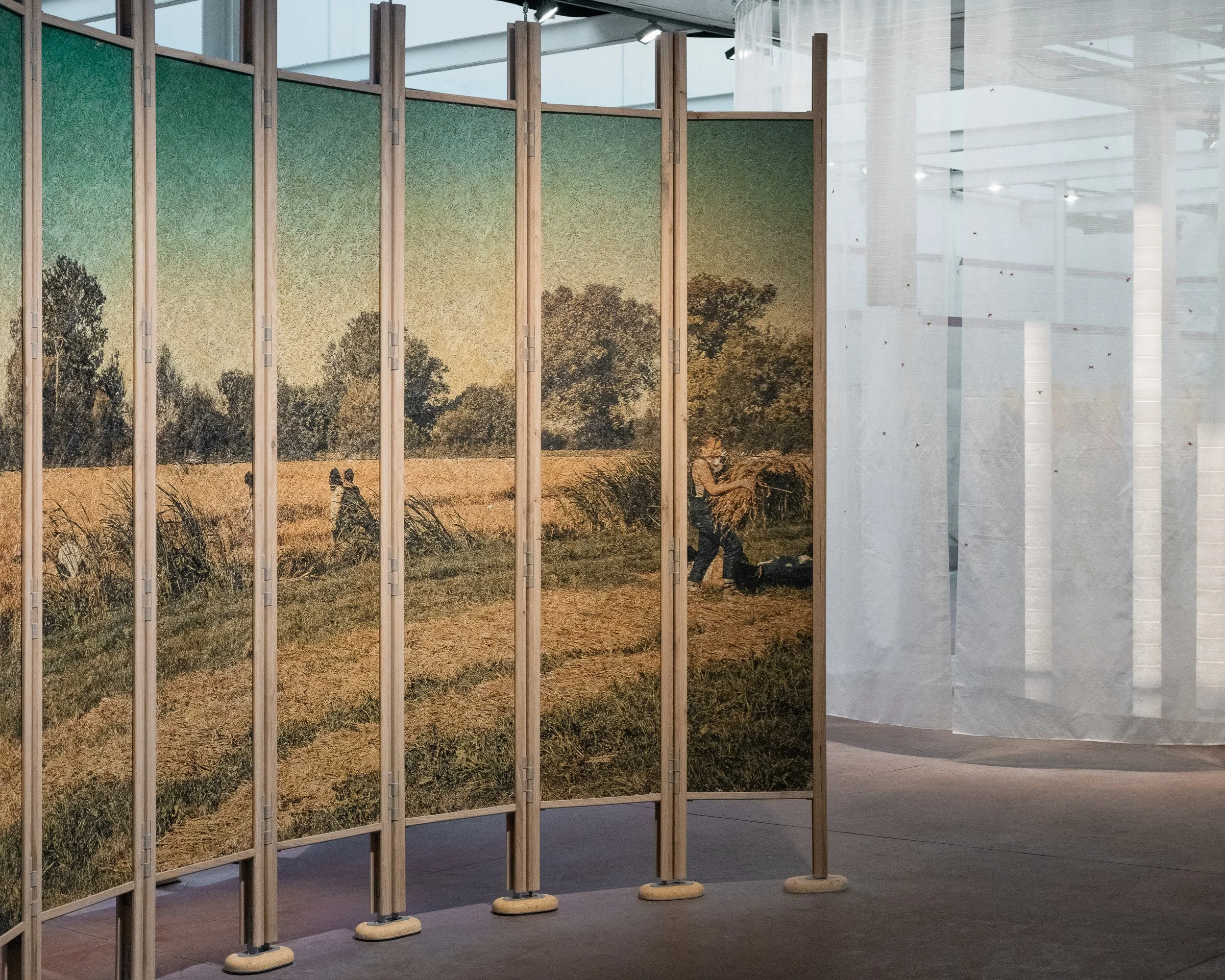 _DSC5047_biennale-architettura.jpg