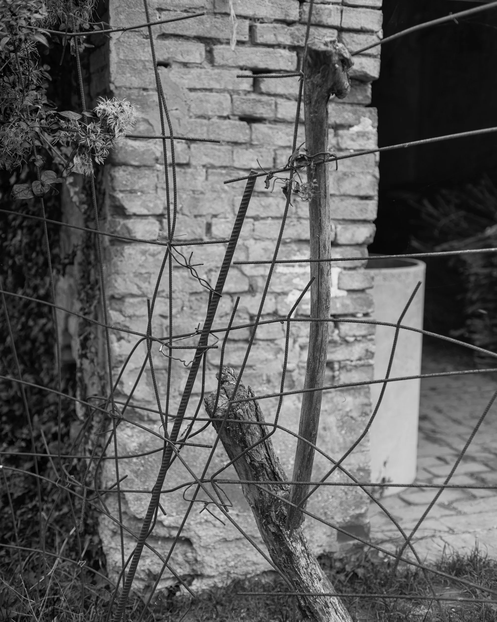 _DSF2647_l-unica-casa-possibile-gabriele-bortoluzzi.jpg