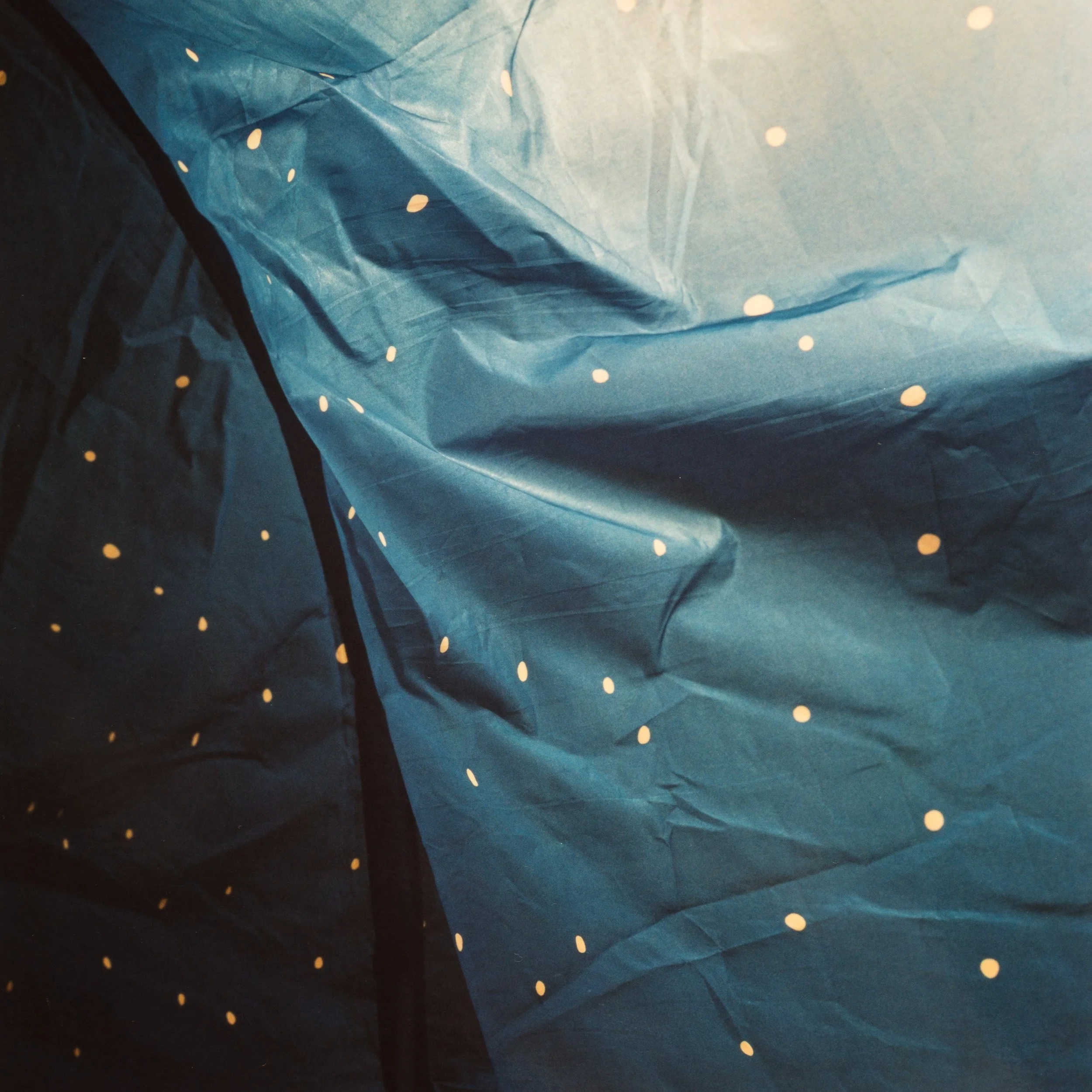 356A9848_untitled.jpg