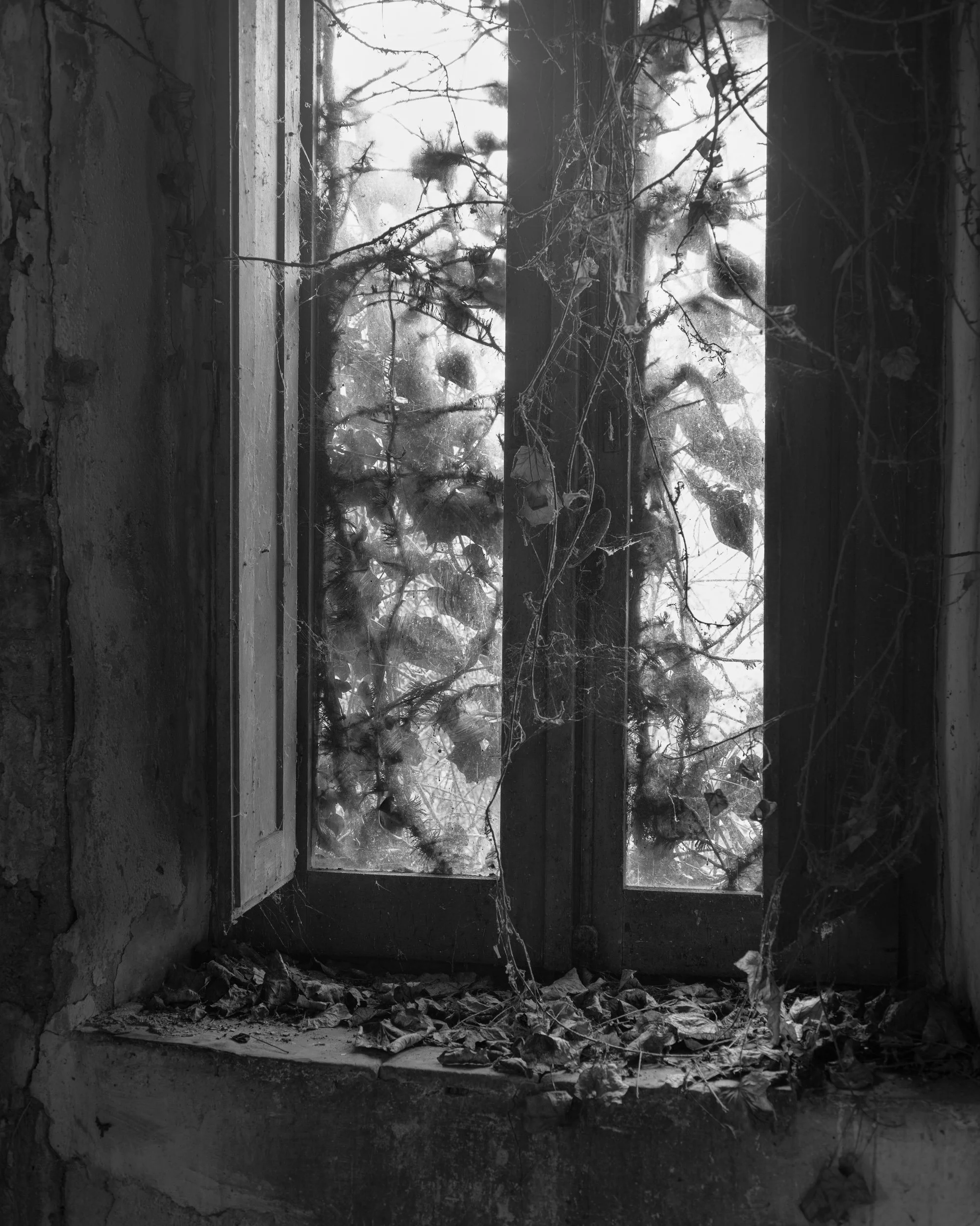 _DSF2591_l-unica-casa-possibile-gabriele-bortoluzzi.jpg
