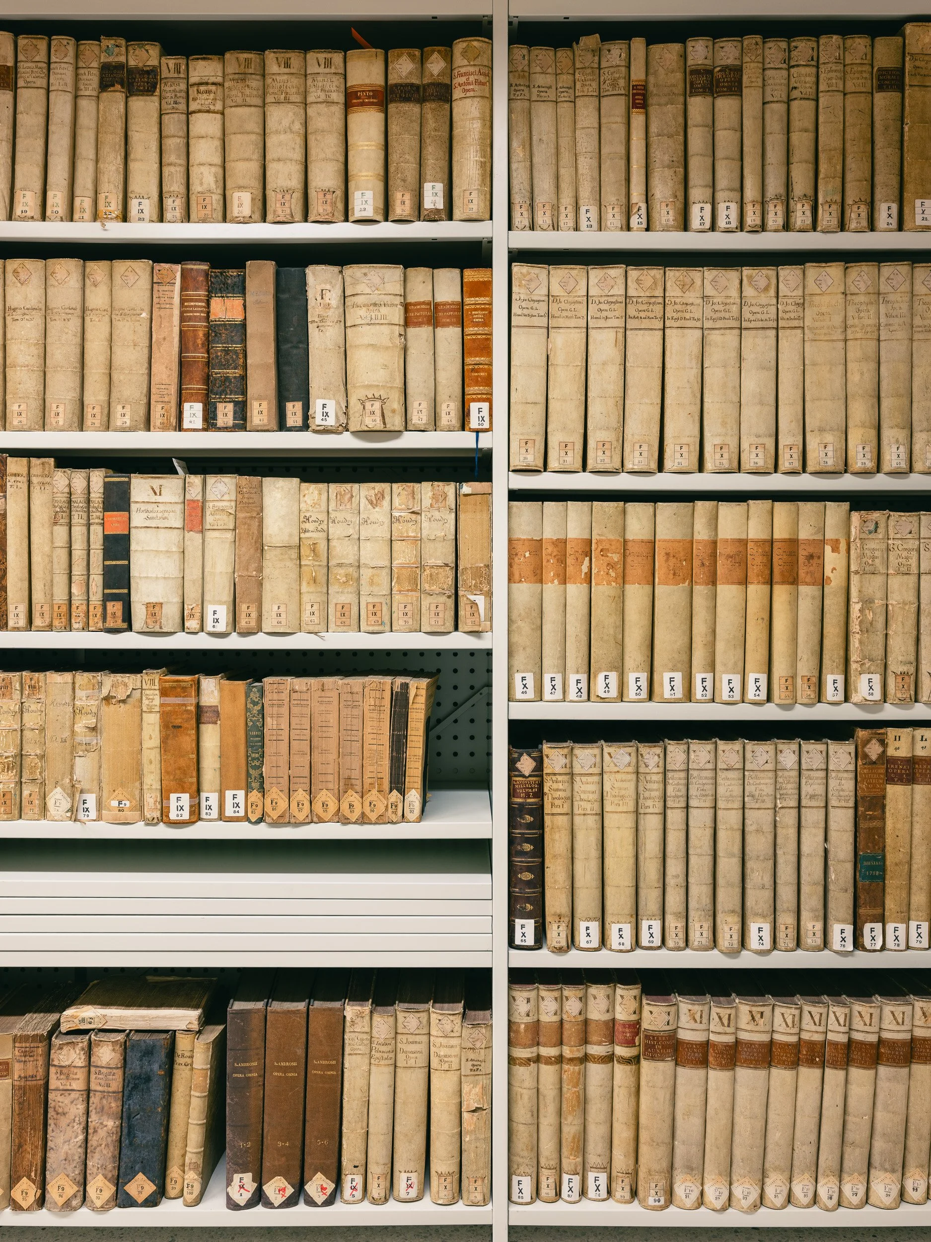 _DSF4816_Venezia-biblioteca-di-tutte-le-biblioteche-Gabriele-Bortoluzzi.jpg