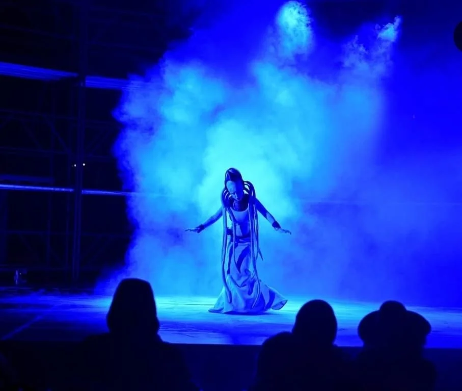 Performer with long braids on stage surrounded by blue smoke, in front of an audience.