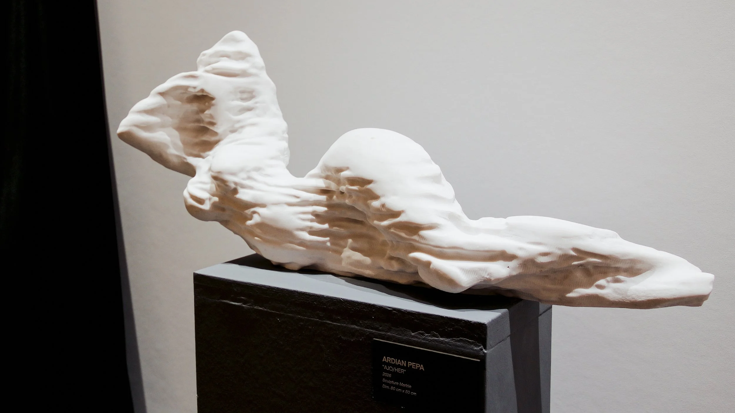White marble sculpture resembling a whale, displayed on a black pedestal against a gray wall.