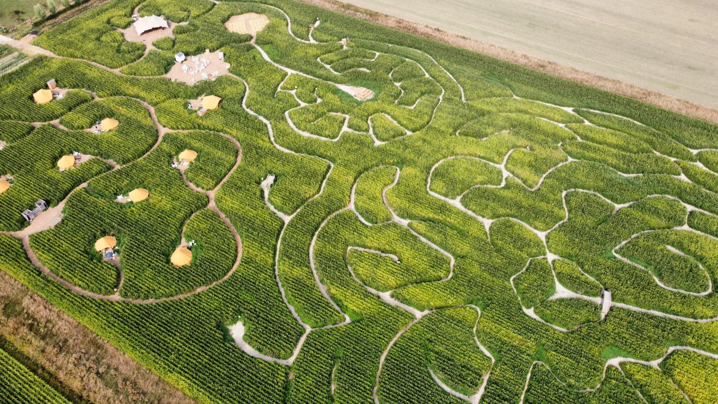 dji_fly_20250813_171004_203_1755098298154_photo_optimized.jpg