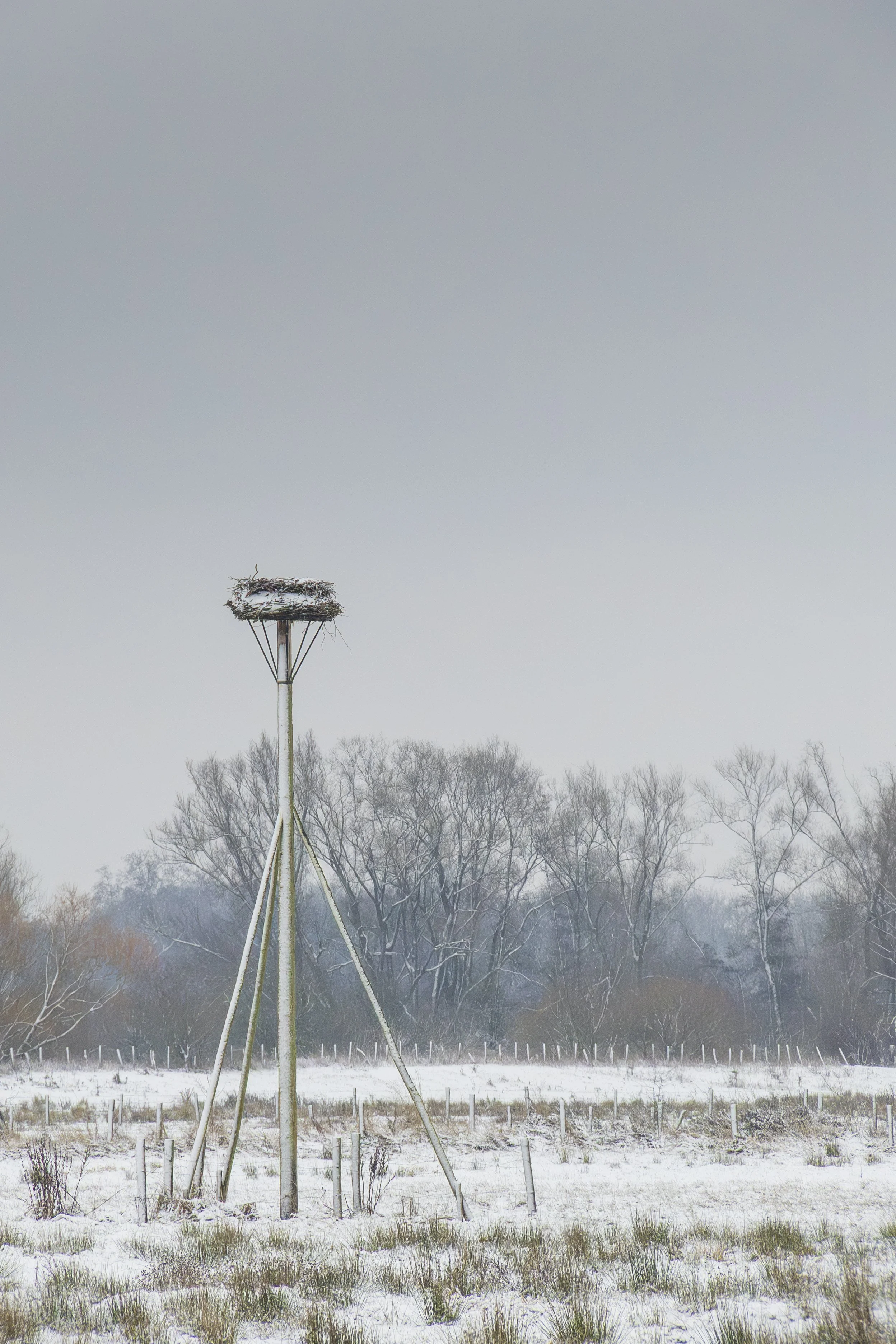 Webbekomsbroek20260110-08.jpg
