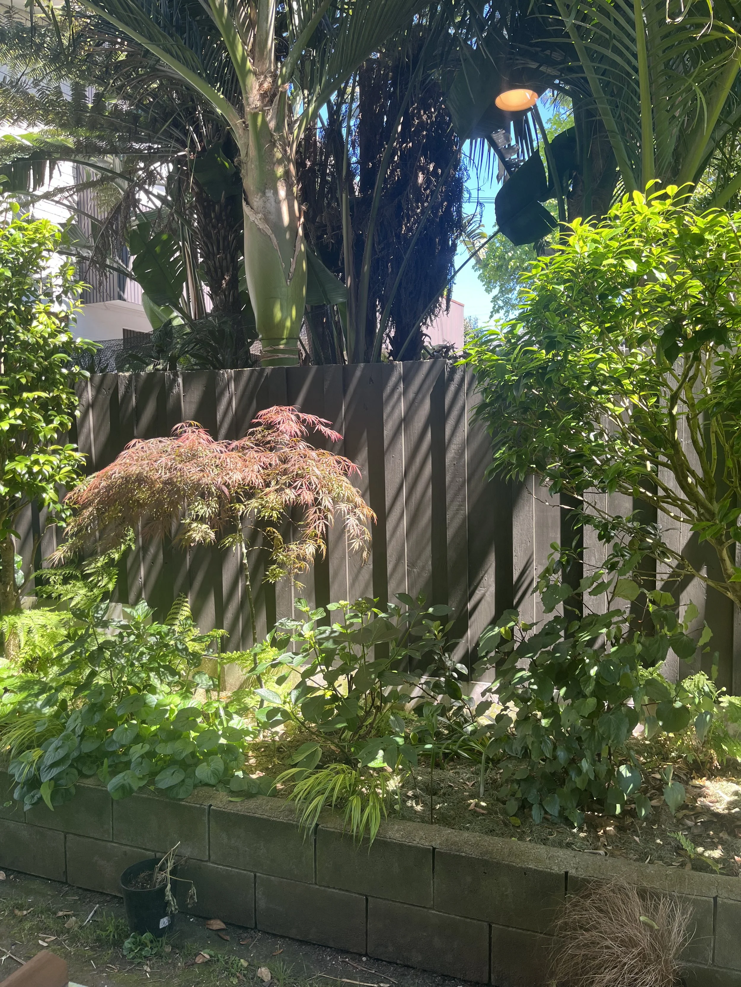 How we transformed a long, narrow, shady border