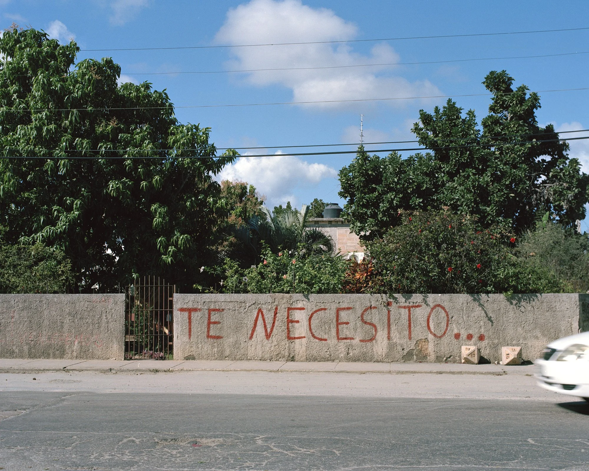 Untitled62.jpg