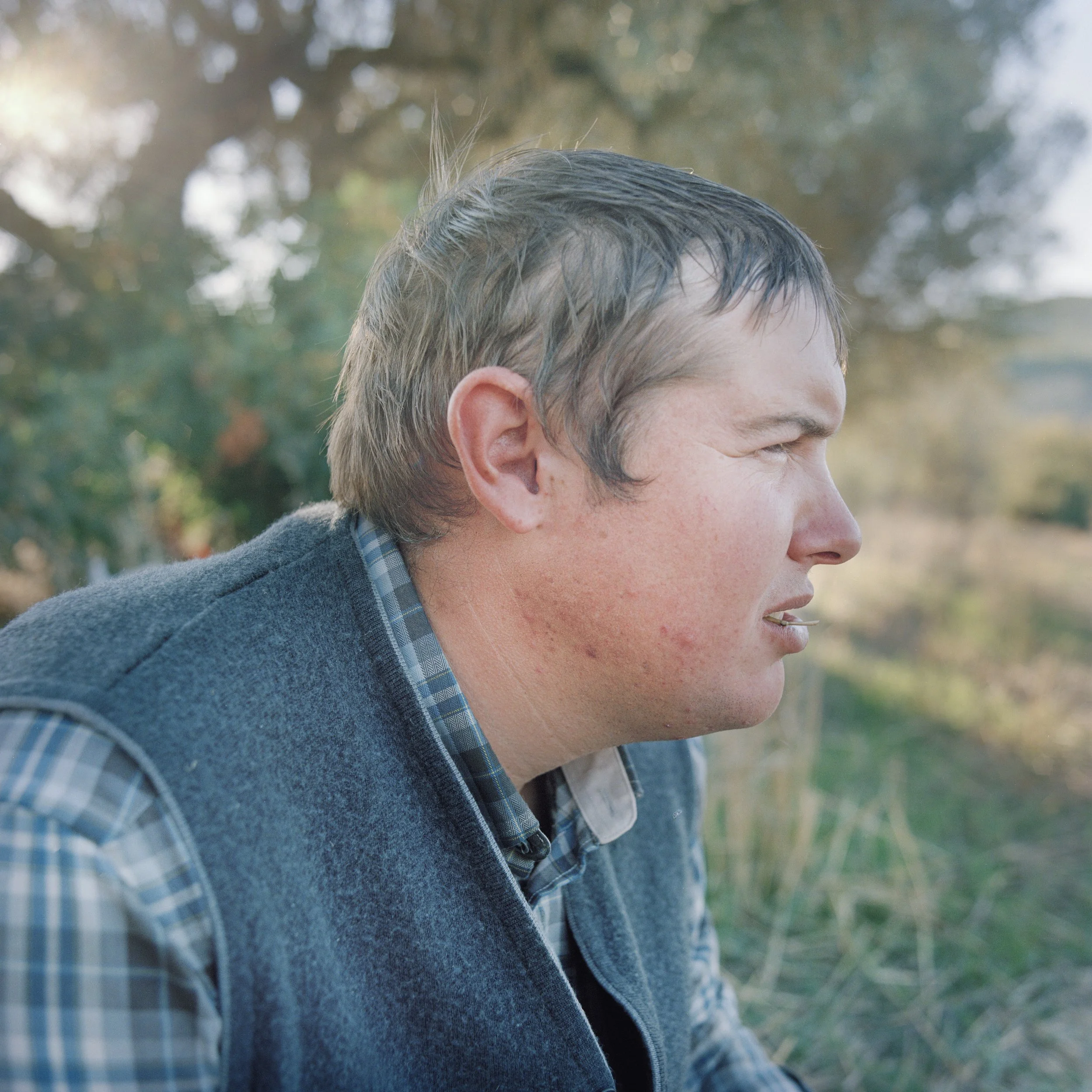 portrait-espagne copybis.jpg