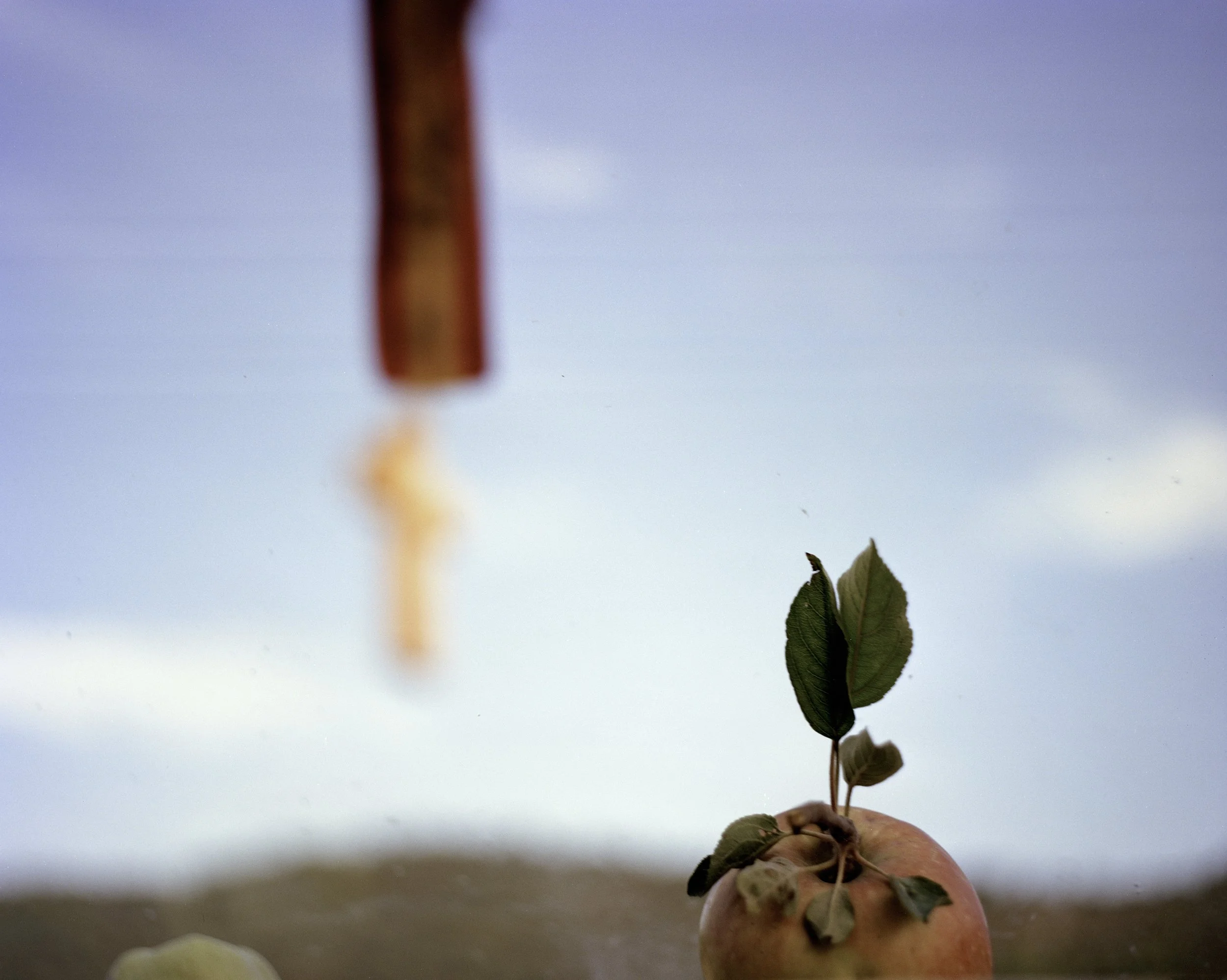 Untitled16 copy.jpg