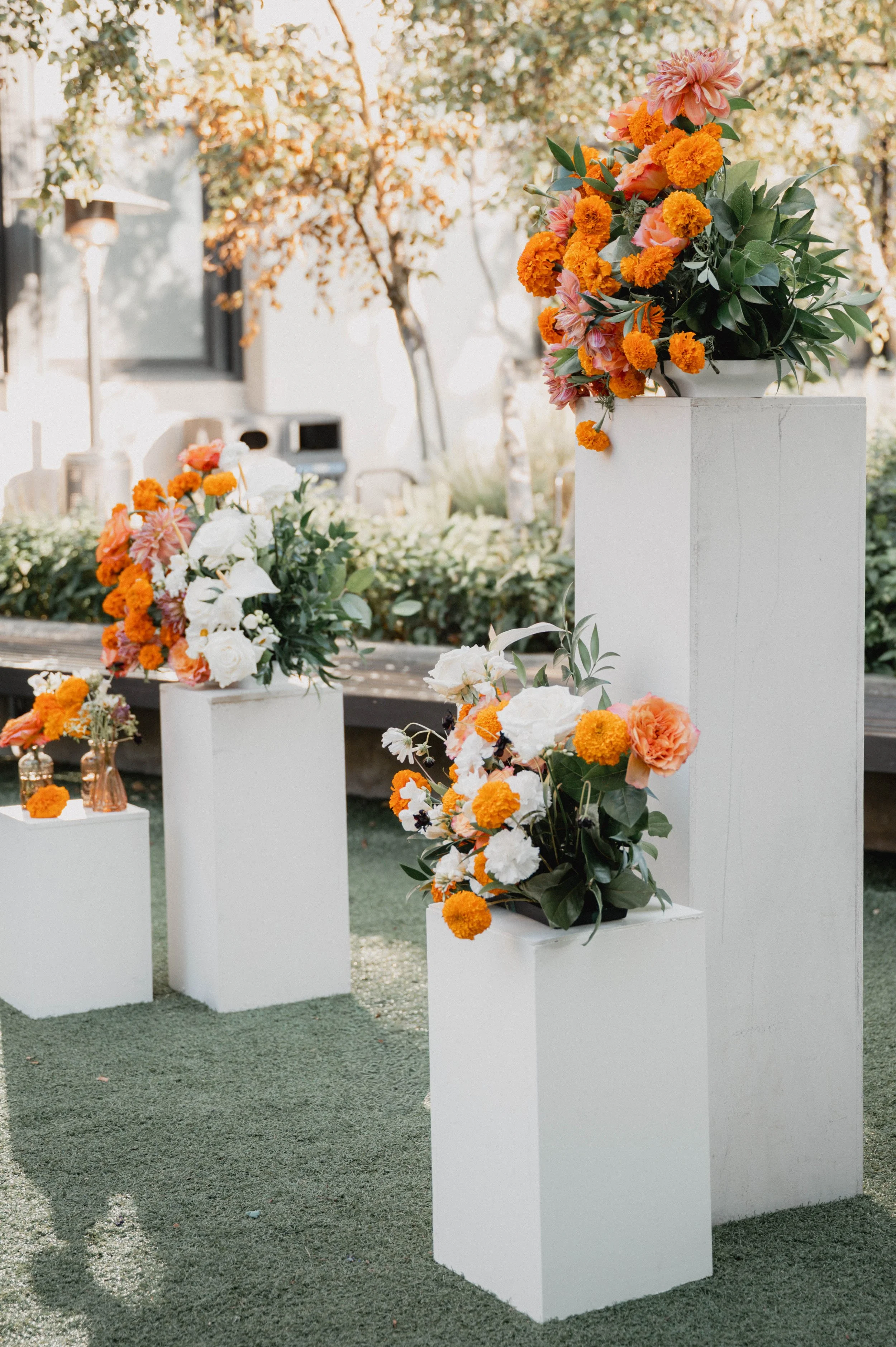 IMG_9817.JPEG