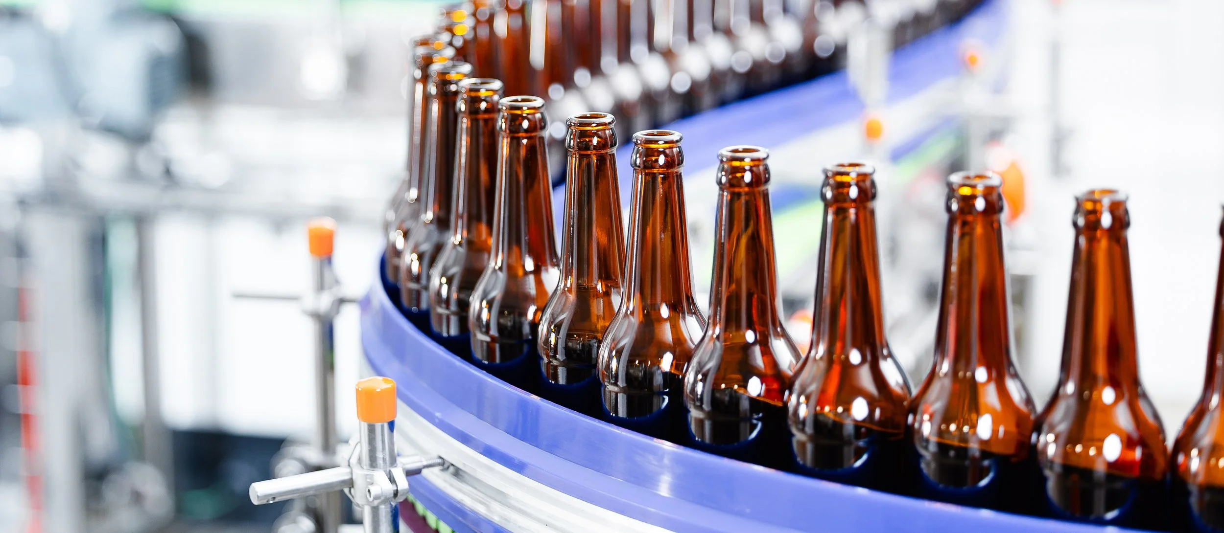Empty brown glass bottles moving on a blue conveyor belt in a bottling factory.