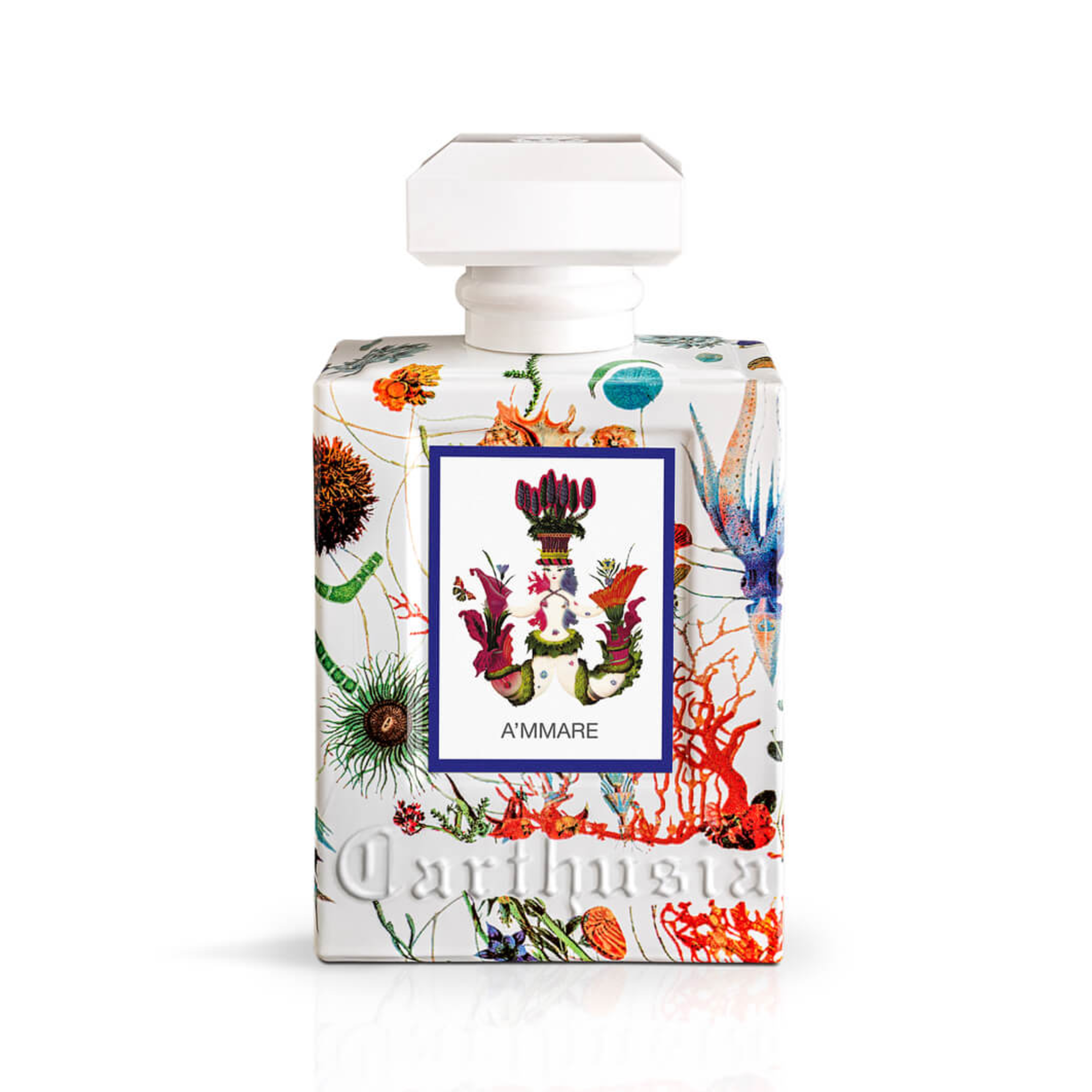 Carthusia A'MMARE – The Fragrance That Followed Me Across Italy