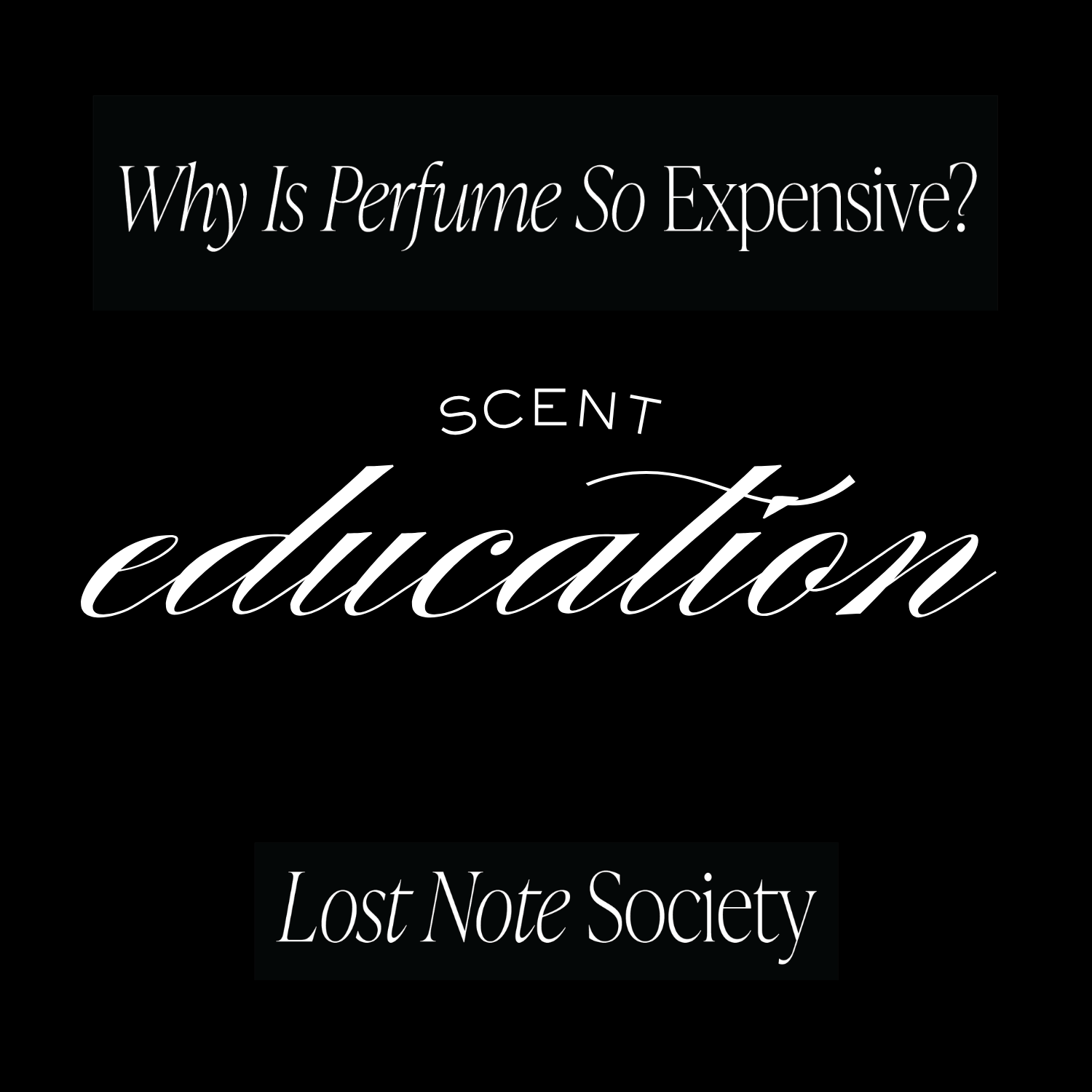 Why Is Perfume So Expensive? The Real Cost of Luxury Fragrance Explained
