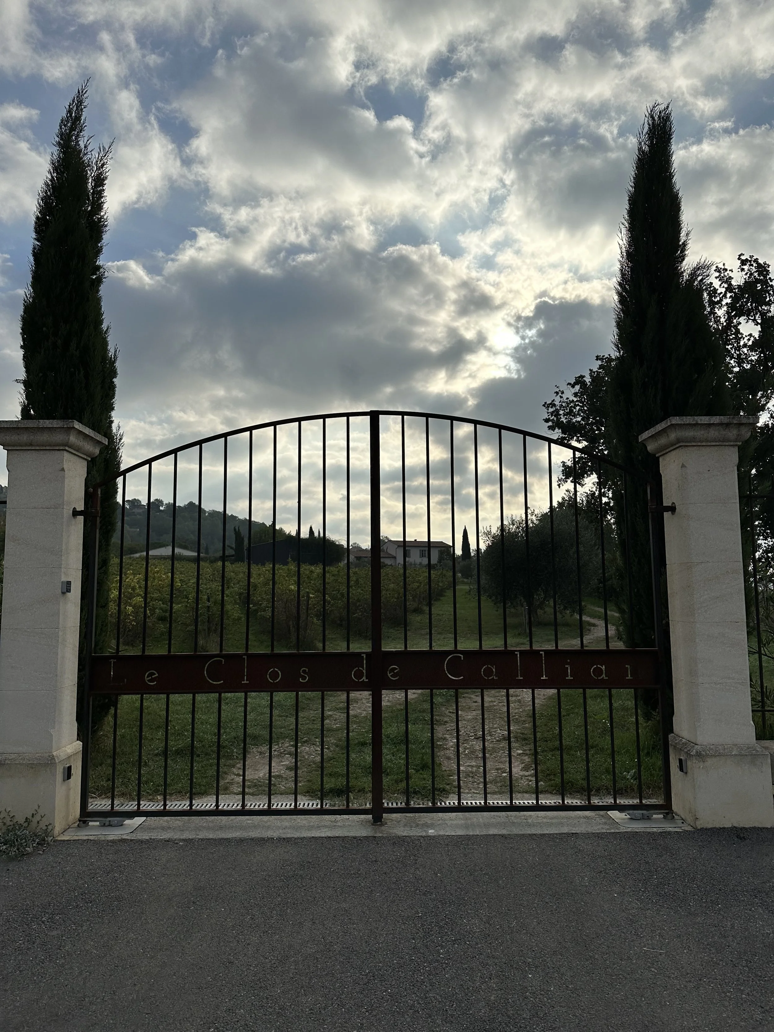 IMG_2744.jpeg