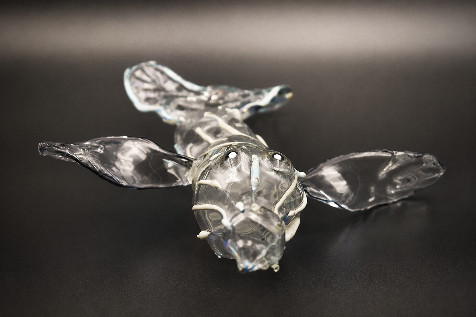 Fisch Glasfigur Borosilikatglas StudioJoshi