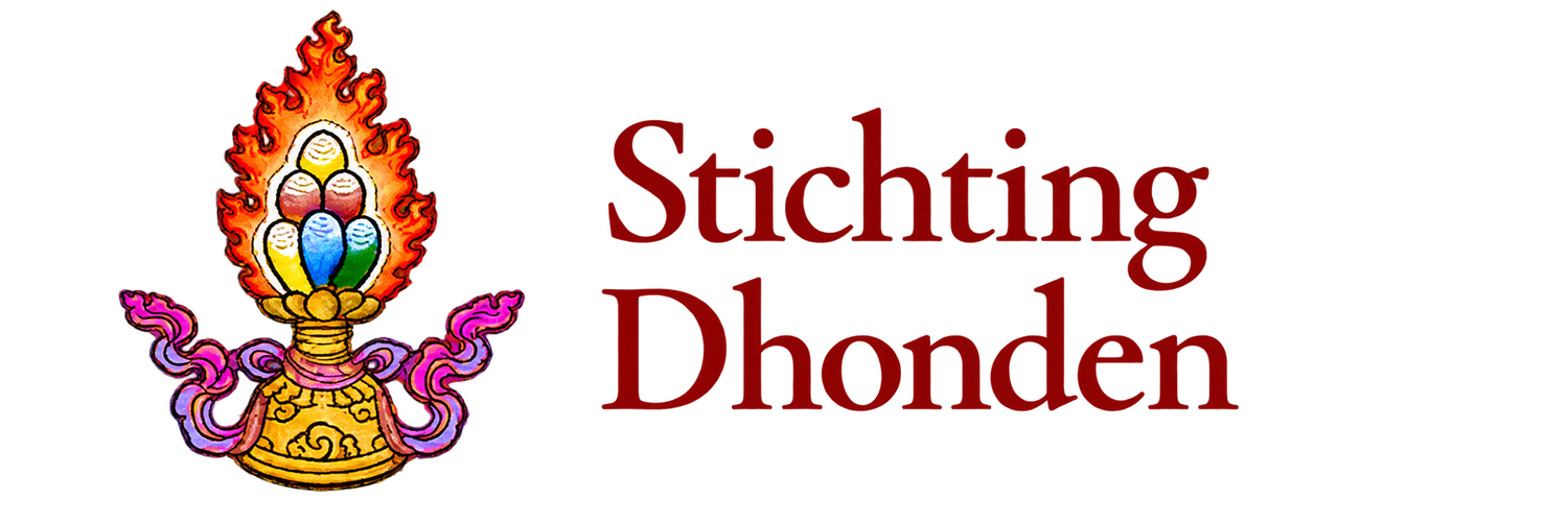Stichting Dhoden