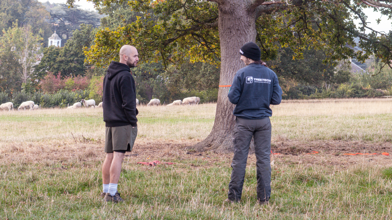 Two people standing outdoors near a large tree, talking. One is dressed in shorts, a hoodie, and socks, while the other wears a jacket and beanie. Sheep graze in the background.