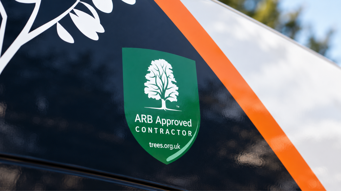 Image of accreditation: arb approved contractor