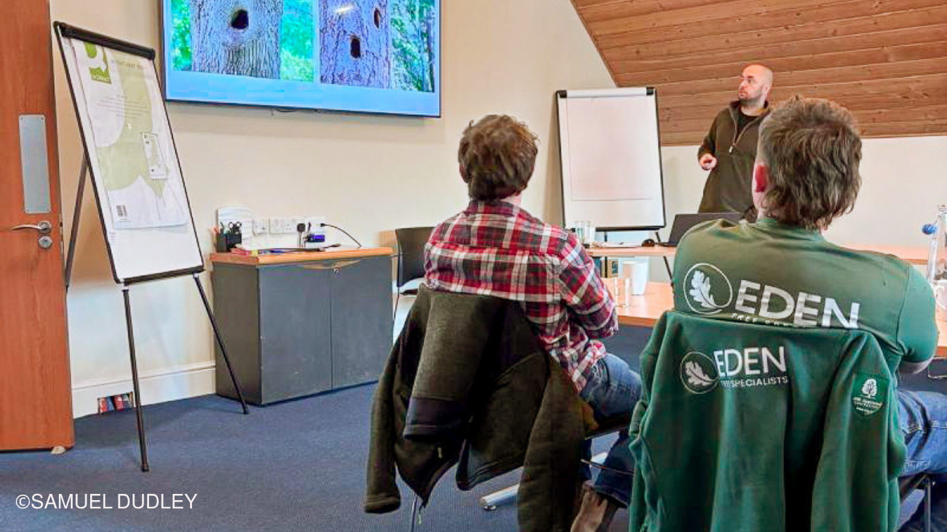 Tom Hamments, owner of Tree Advisory Practice, delivering an arboricultural training session to attendees in a classroom setting.