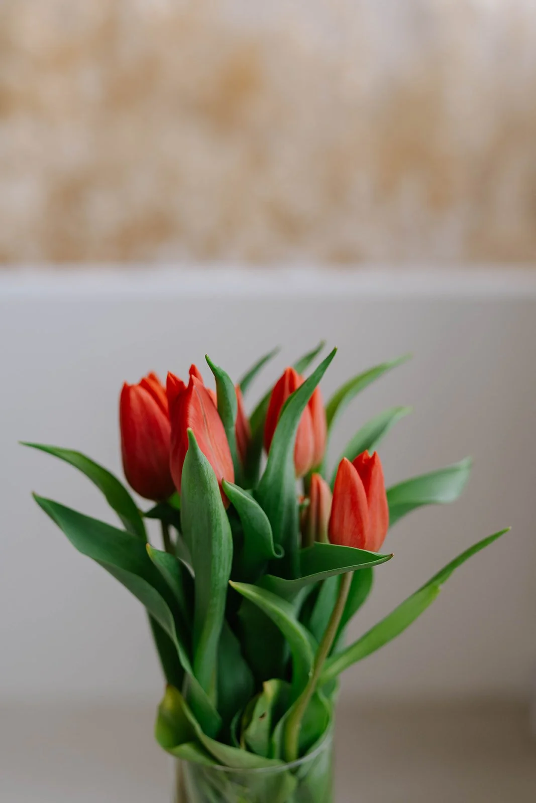 A vase of red tulips with green leaves placed on a surface with a blurred beige and white background.