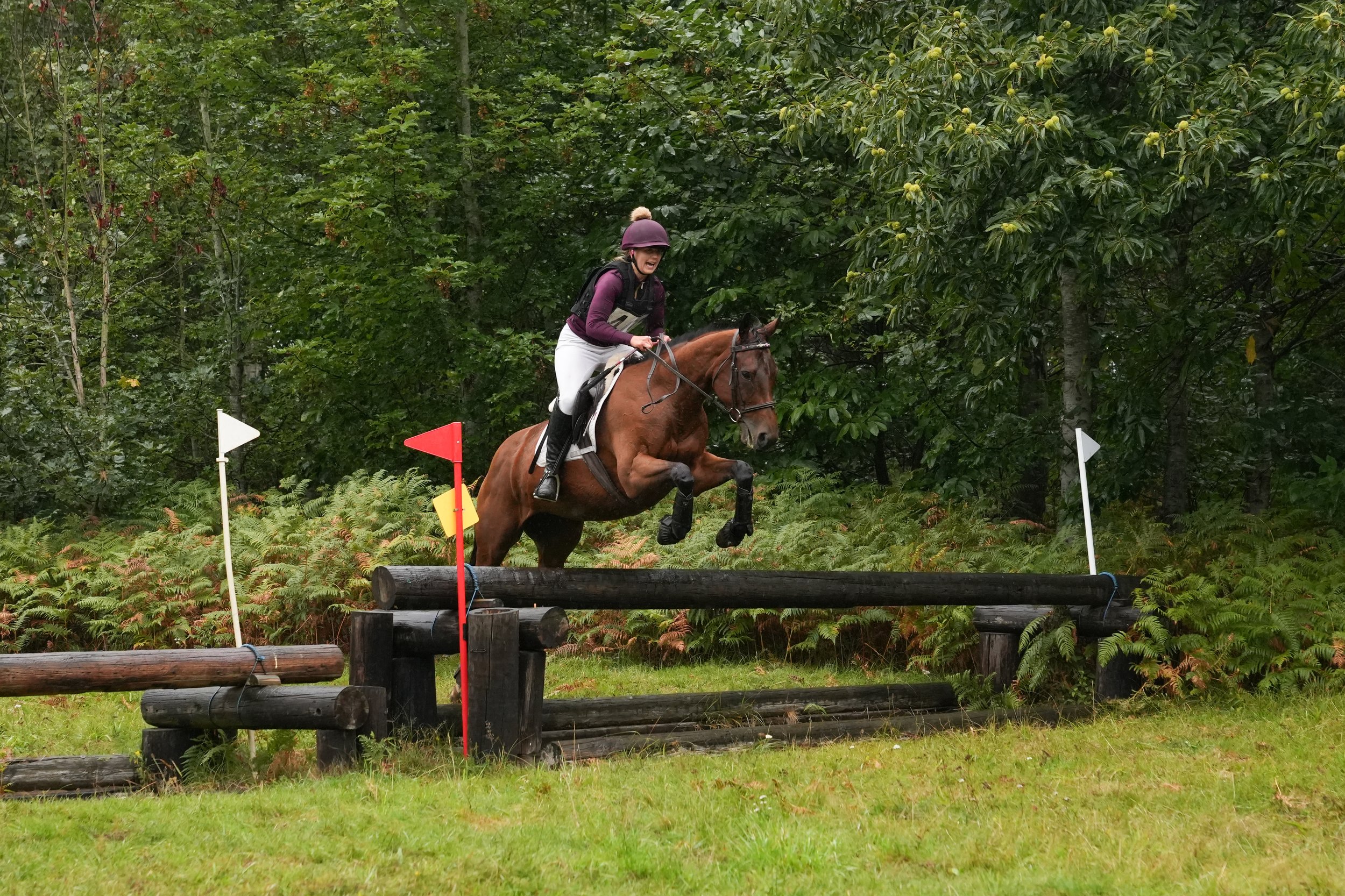 14th September 2025 S2 DN 1314.jpg