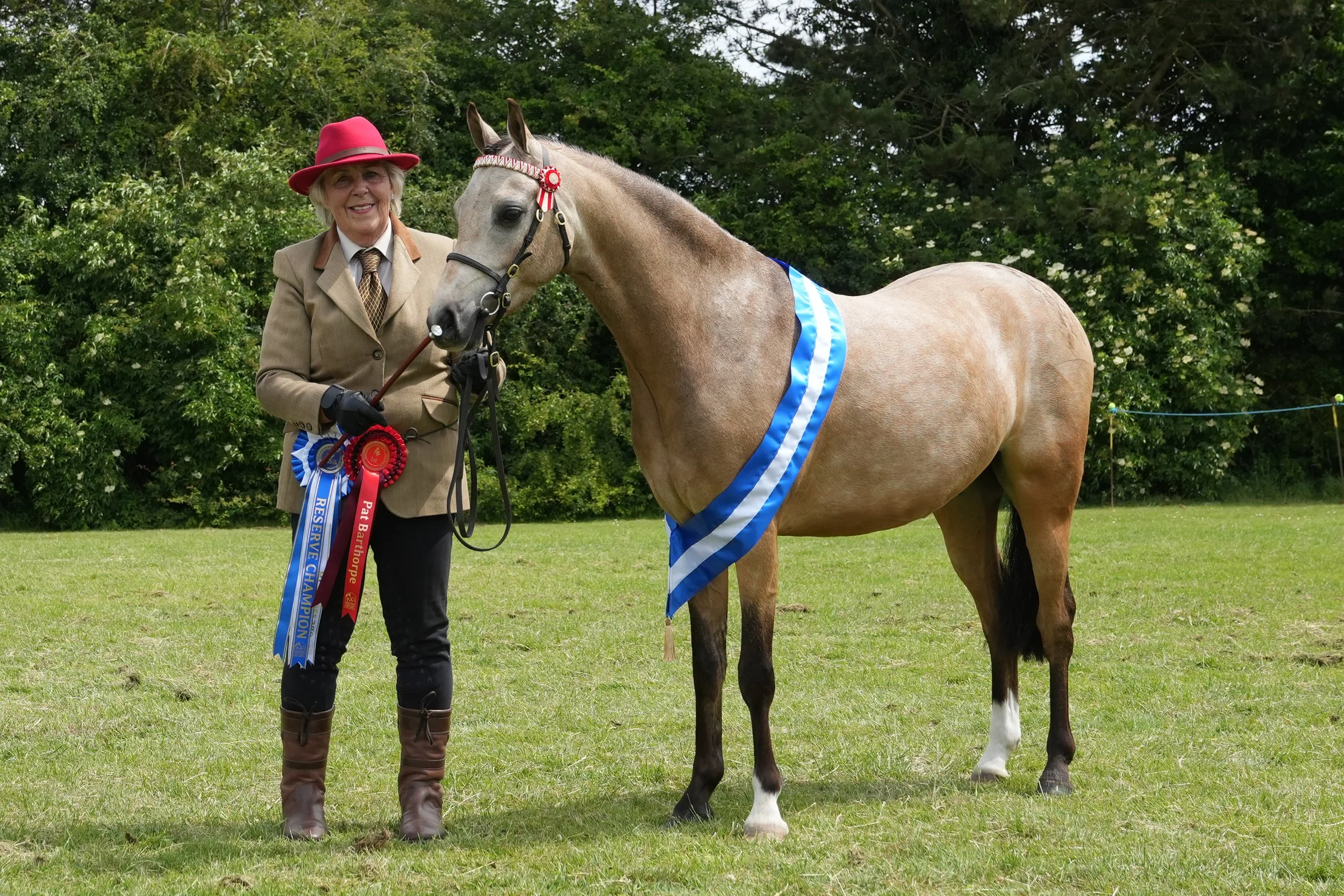 An elderly woman dressed in a beige blazer, tie, black pants, and brown riding boots, wearing a pink hat, standing outdoors on a grassy field holding a lead rope attached to a light brown horse. The horse has a ribbon and rosette on its head, a blue 
