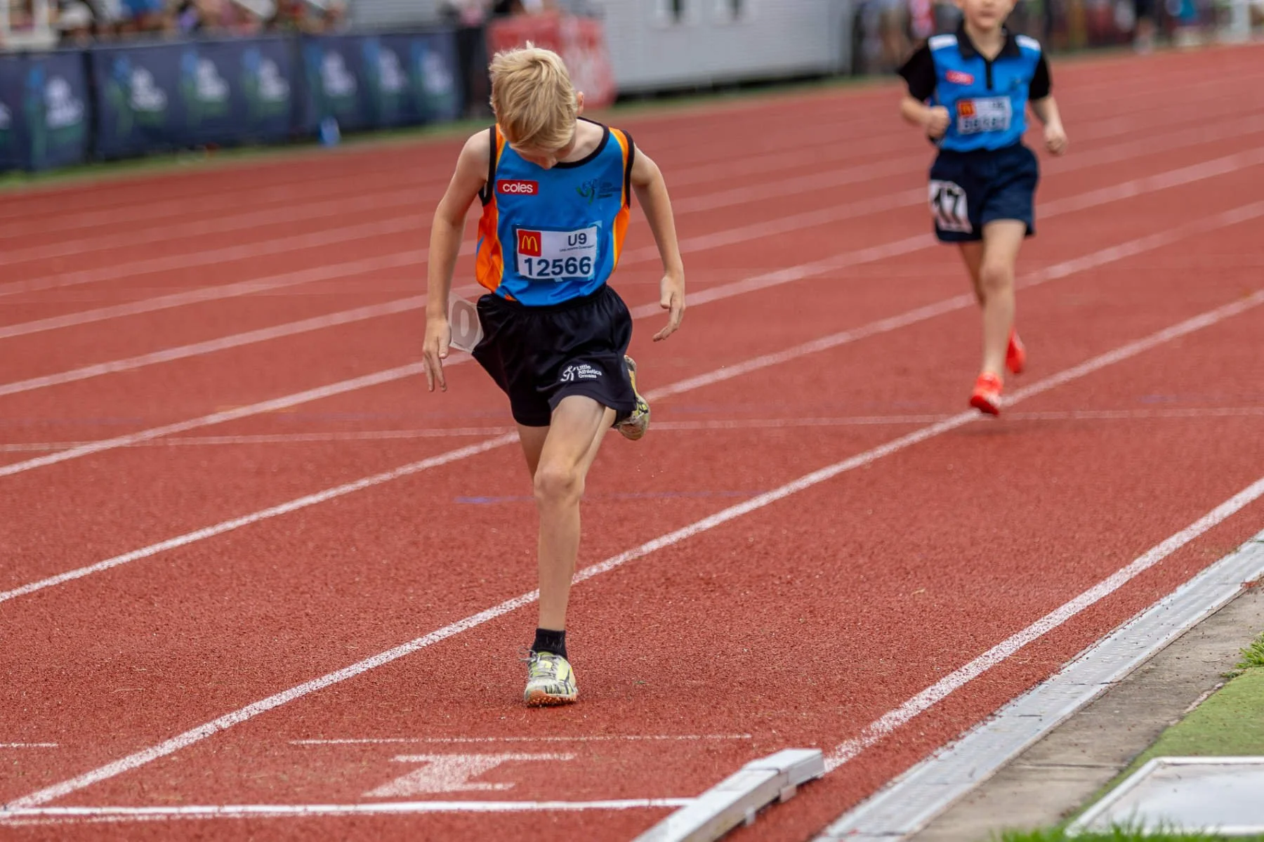 gallery_79078.jpg