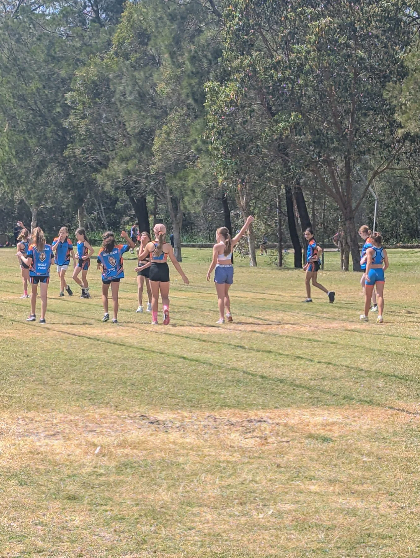 A group of young girls playing a sport on a grassy field in a park, wearing colorful sports uniforms, with trees in the background.
