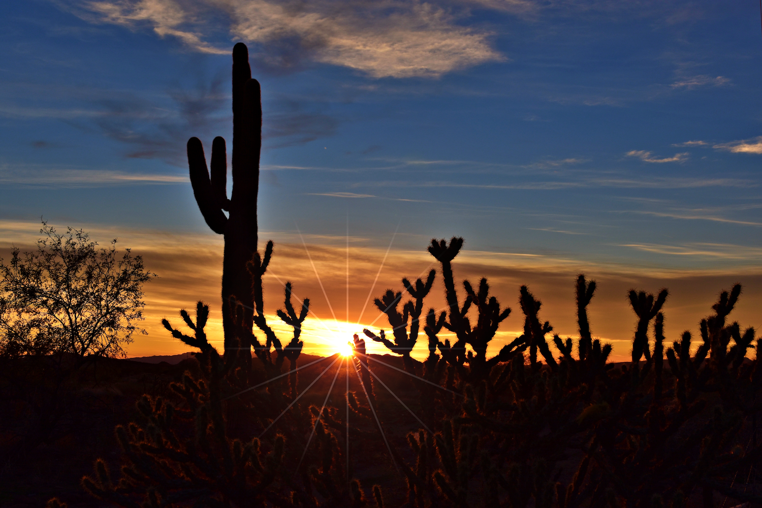 Arizona
