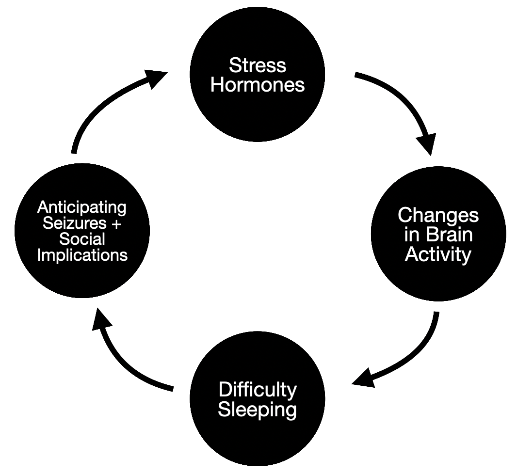 The Epilepsy Anxiety Cycle