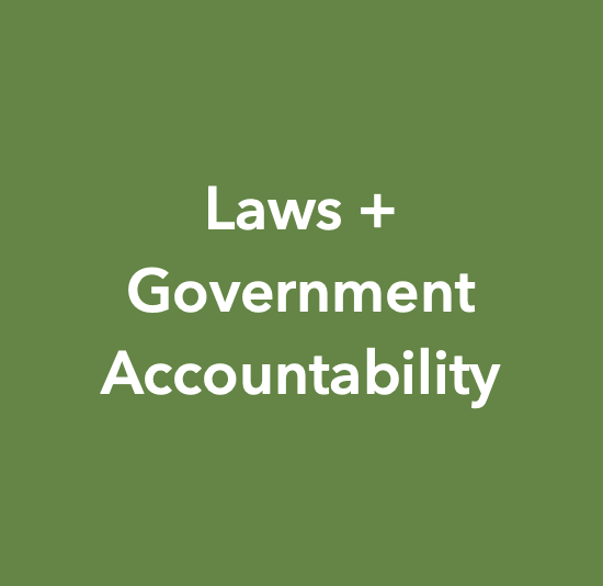Green background with white text reading "Laws + Government Accountability".