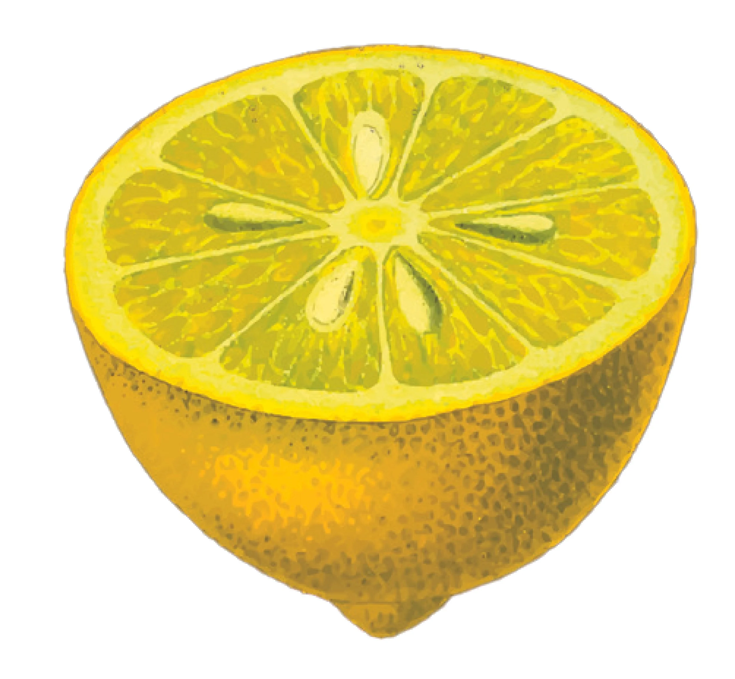 A digitally edited image of a lemon slice with a yellow interior and yellow peel.