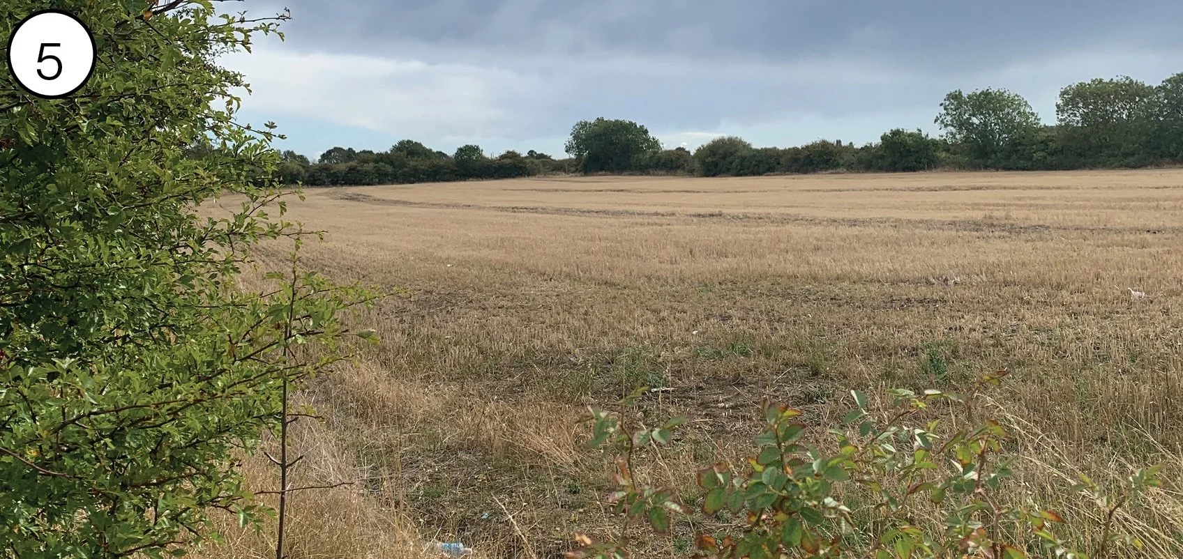 A wide view of a dry, harvested field with some green bushes on the left and trees in the distance under a cloudy sky.