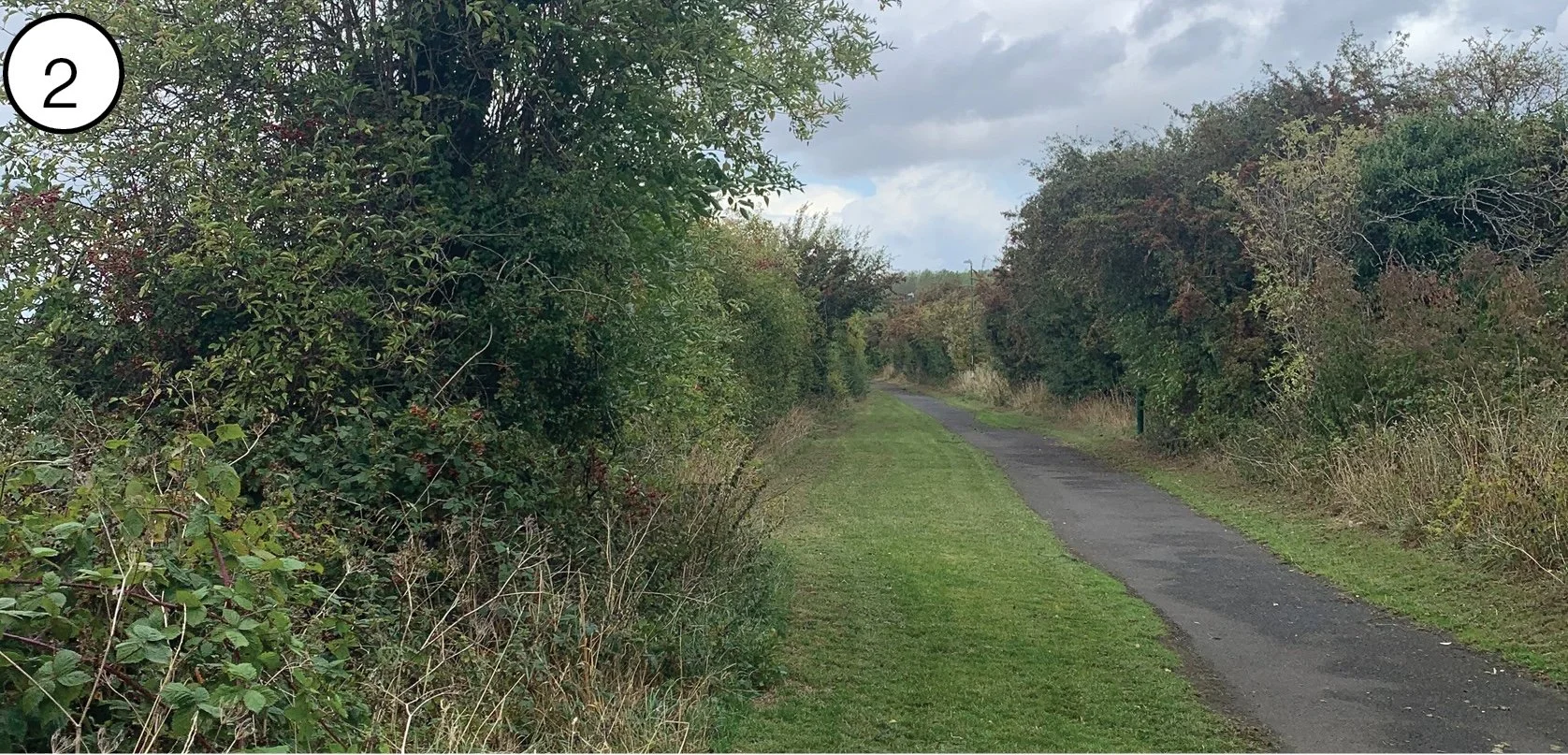 A narrow dirt and gravel walking trail in a rural area, flanked by dense bushes and trees on both sides, with cloudy skies overhead.