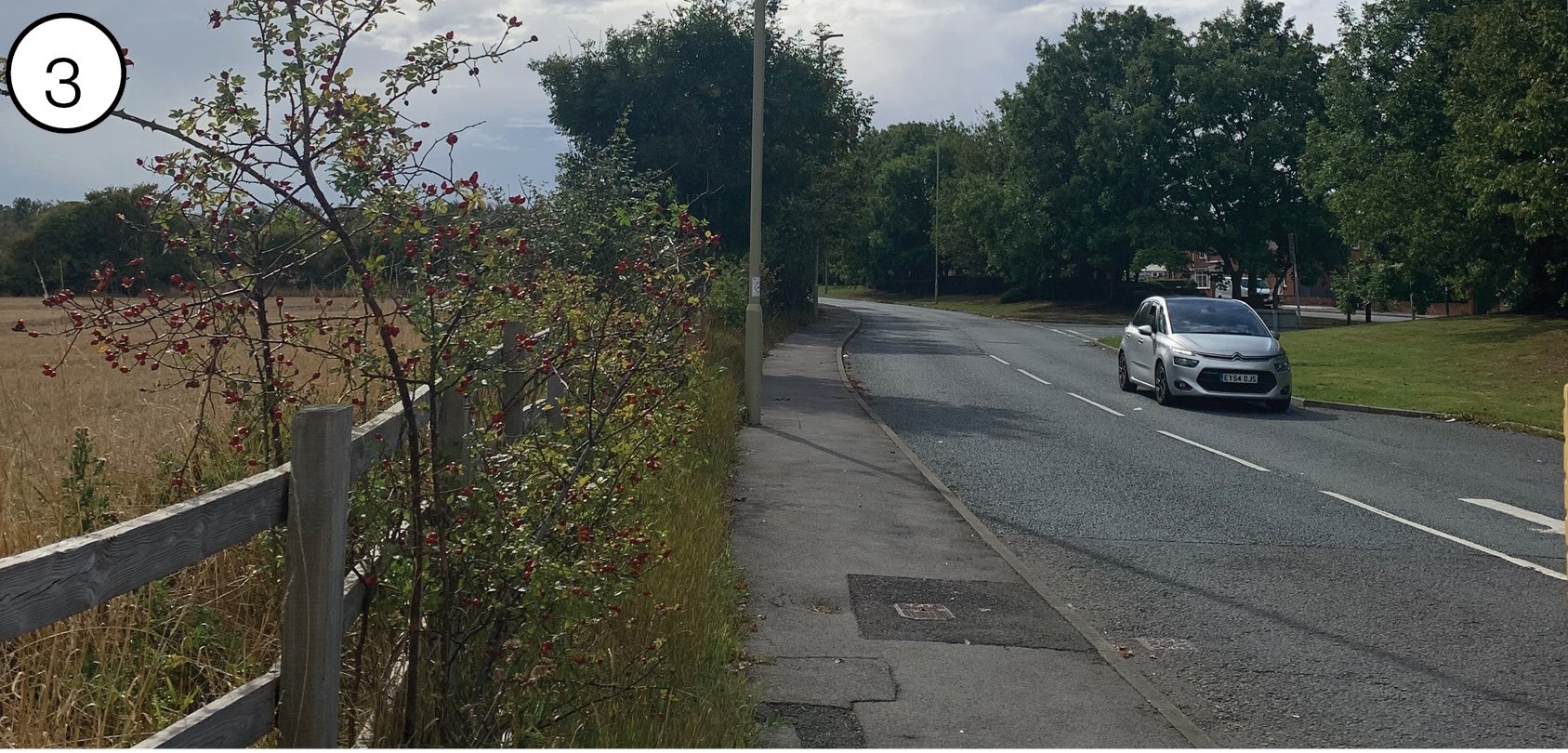 A street scene with a sidewalk on the left, a wooden fence with red berries and green leaves, and a grassy area. On the right, a silver car is parked, and there are trees and houses in the background. The sky is partly cloudy.